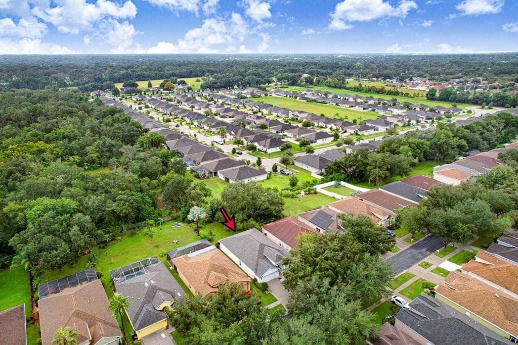 Single Family Residence at 1161 EMERALD HILL WAY, VALRICO, photo 79 of 79