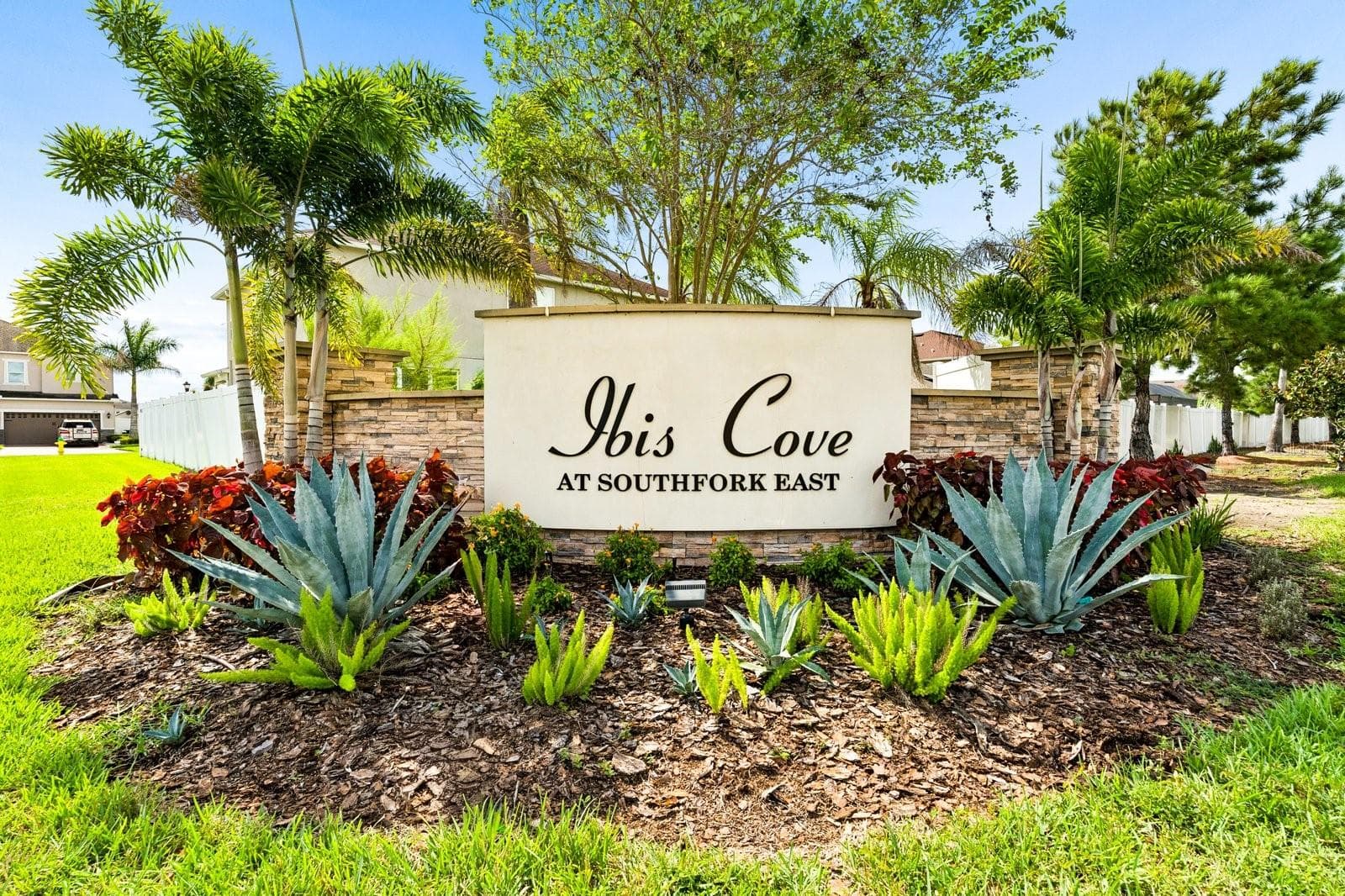 Ibis Cove in South Fork - 11327 BRIGHTON KNOLL LOOP, RIVERVIEW