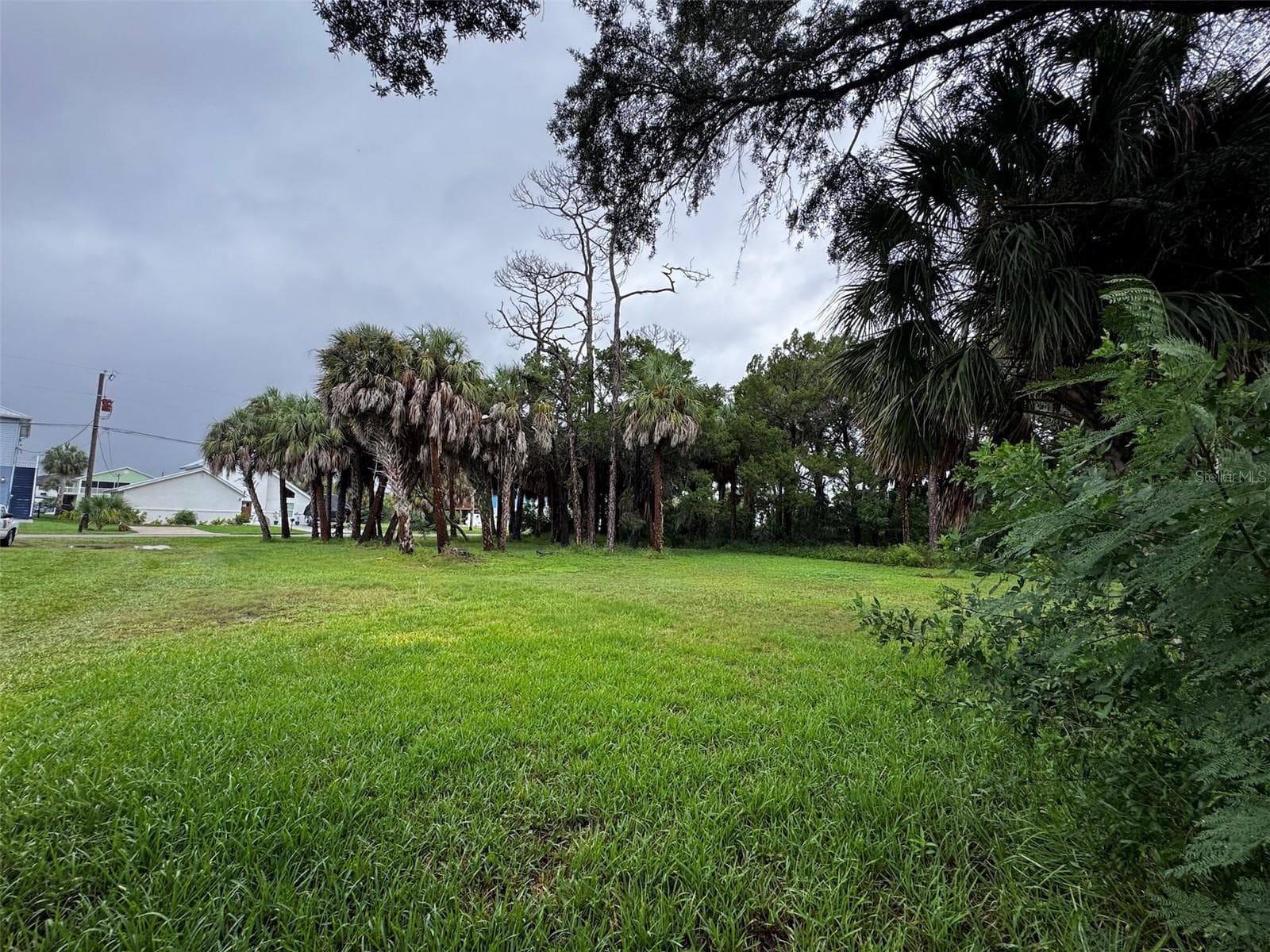 Side View - PINEDALE CT, HERNANDO BEACH