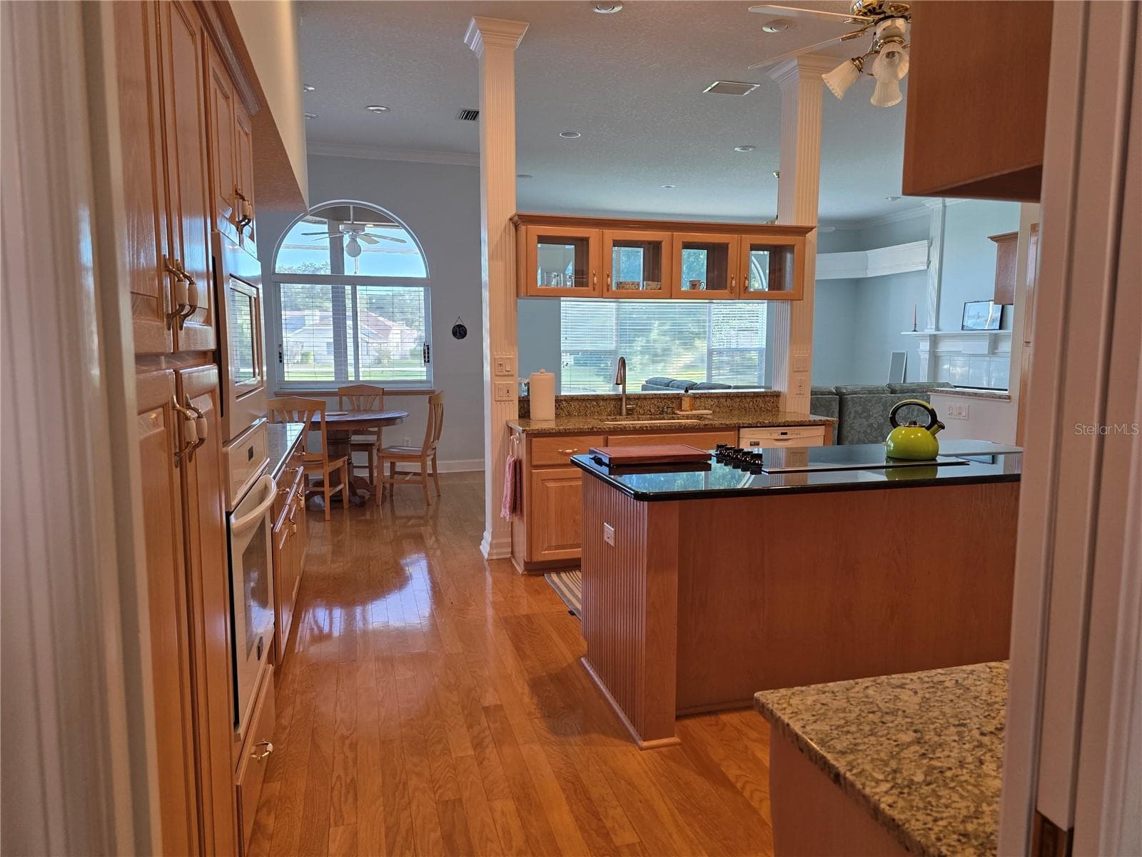 Single Family Residence at 3763 EXECUTIVE DR, PALM HARBOR, photo 6 of 100