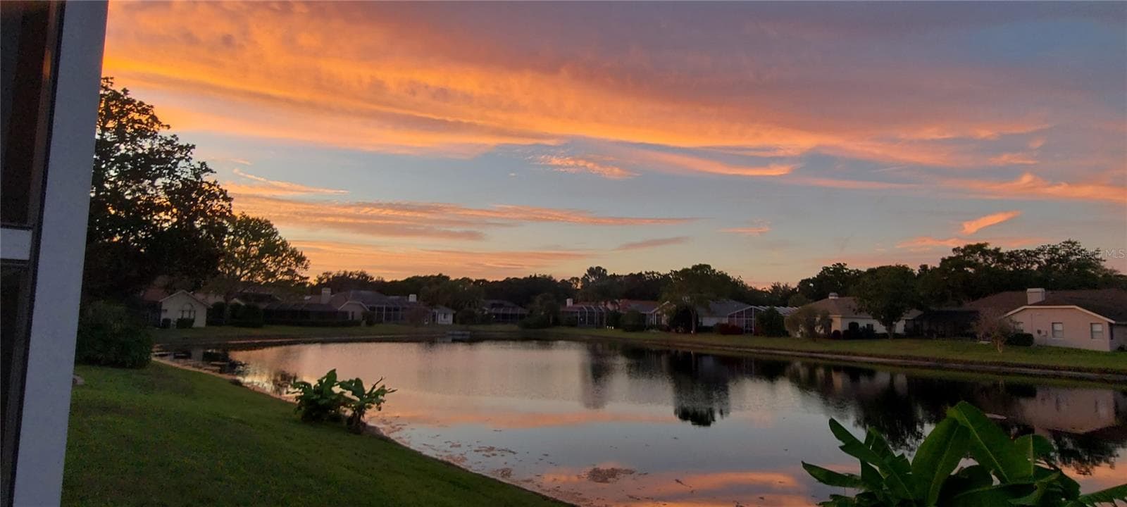 Sunset view from the Lanai - 3763 EXECUTIVE DR, PALM HARBOR