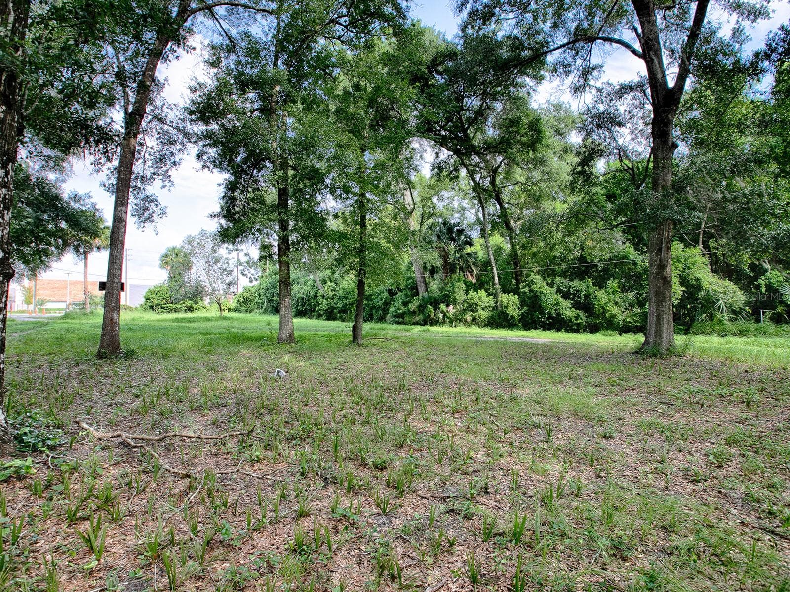 Ground Pics - 4905 Plymouth Sorrento Road - 4905 PLYMOUTH SORRENTO RD, APOPKA