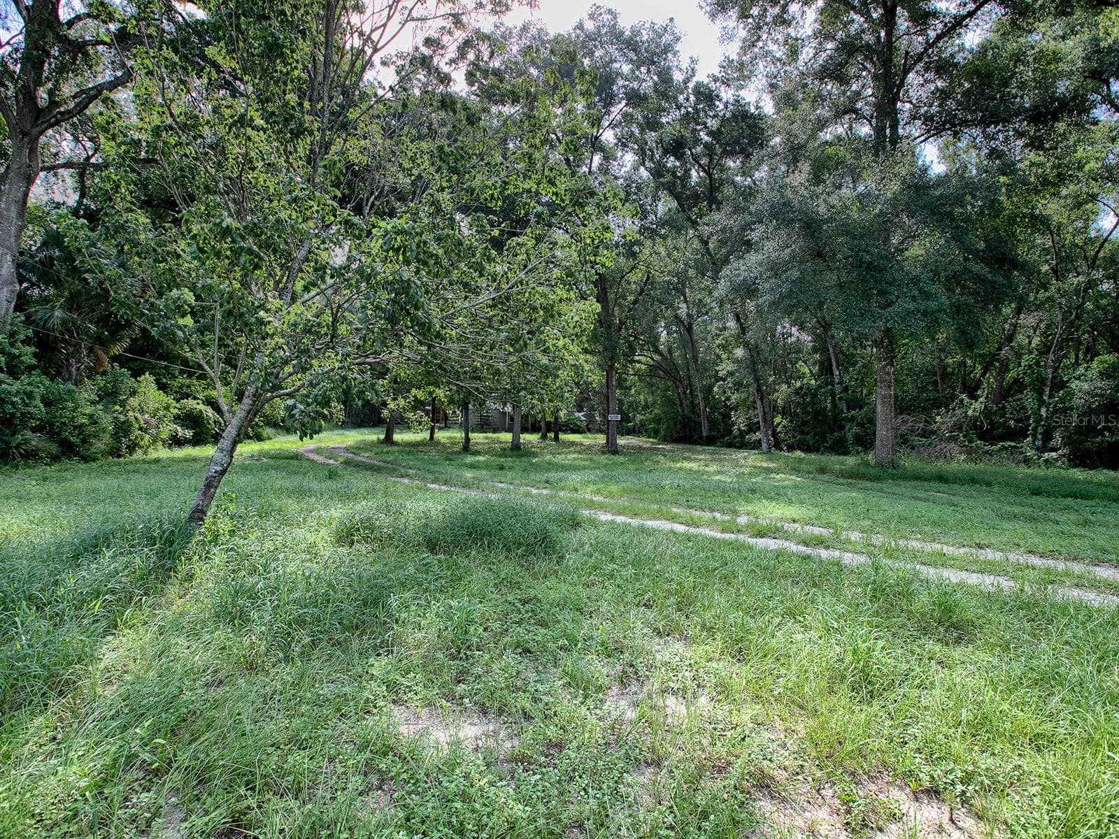 Ground Pics - 4905 Plymouth Sorrento Road - 4905 PLYMOUTH SORRENTO RD, APOPKA