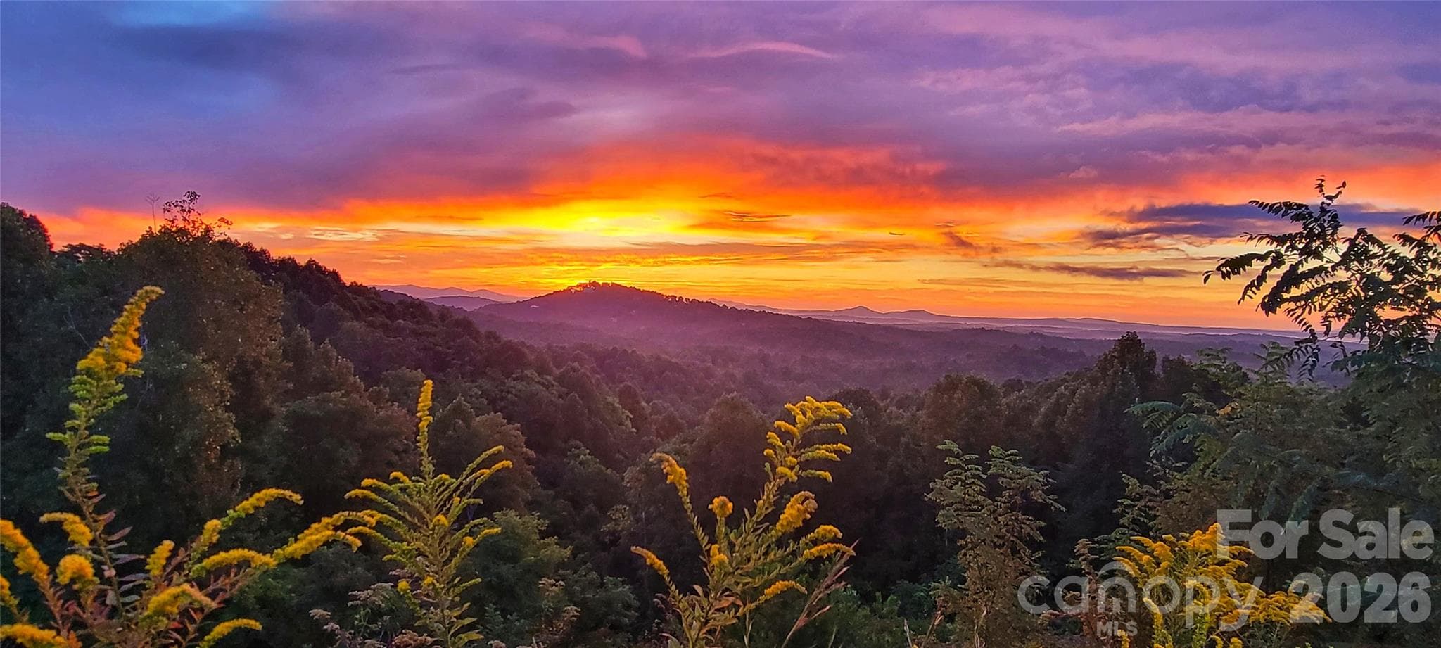 Summer Sunrise view - 4898 Soaring Top Lane, Lenoir