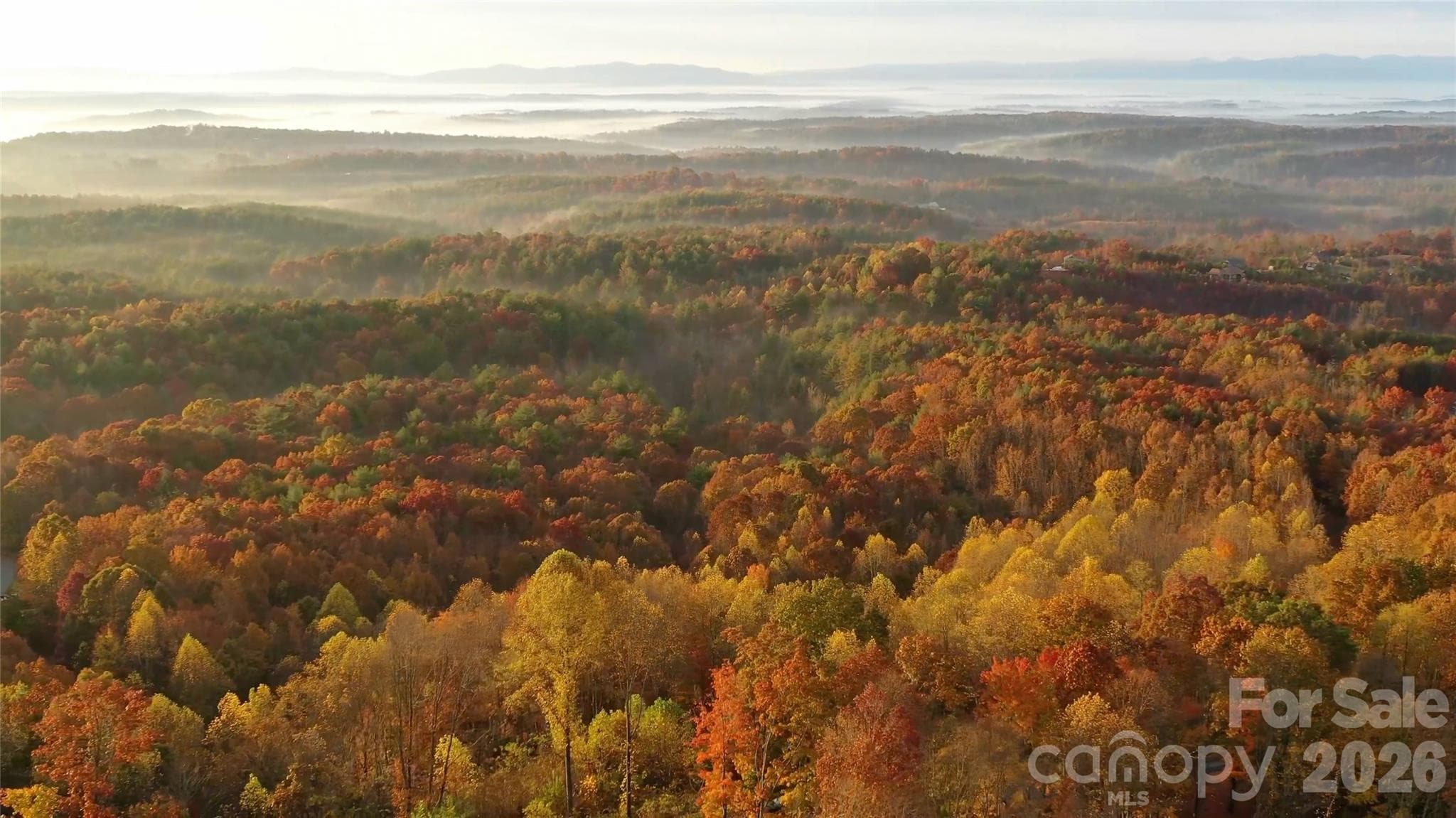Autumn leaves view - 4898 Soaring Top Lane, Lenoir