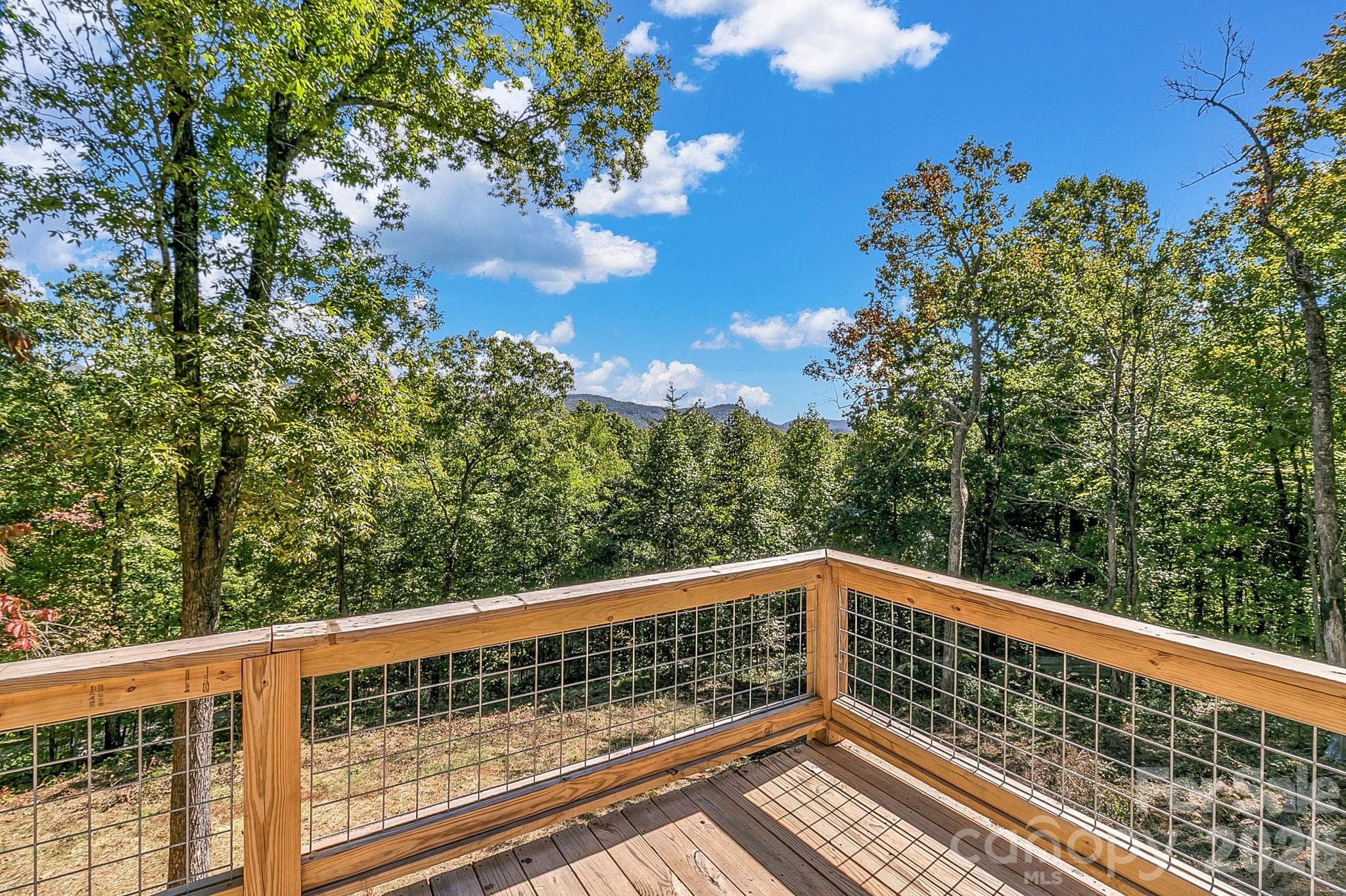 Single Family Residence at 135 Bald Eagle Drive, Hendersonville, photo 19 of 41