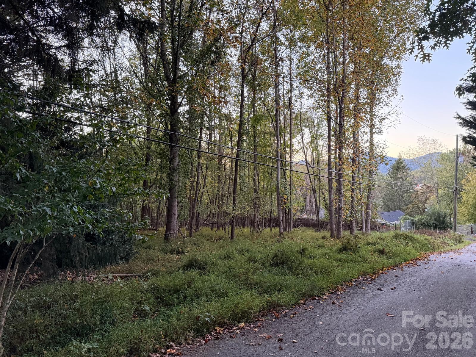 Lot at 0 Sandhurst Drive, Asheville, photo 9 of 15