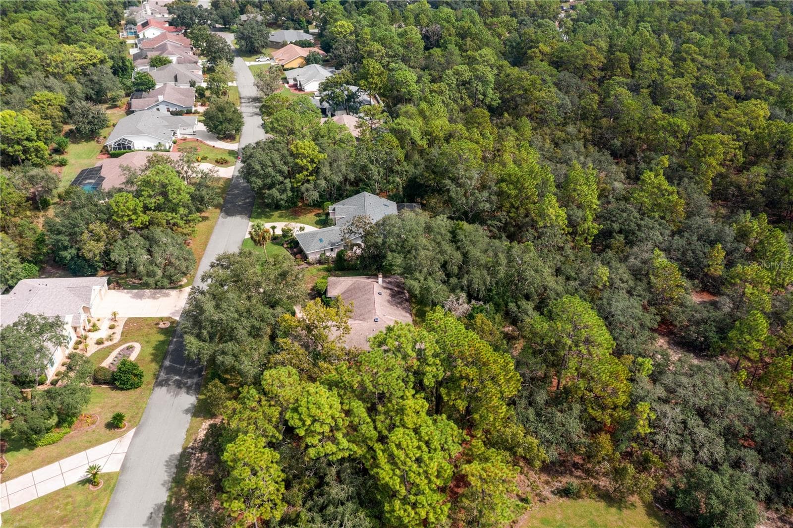 Single Family Residence at 31 MAYFLOWER CT S, HOMOSASSA, photo 59 of 60