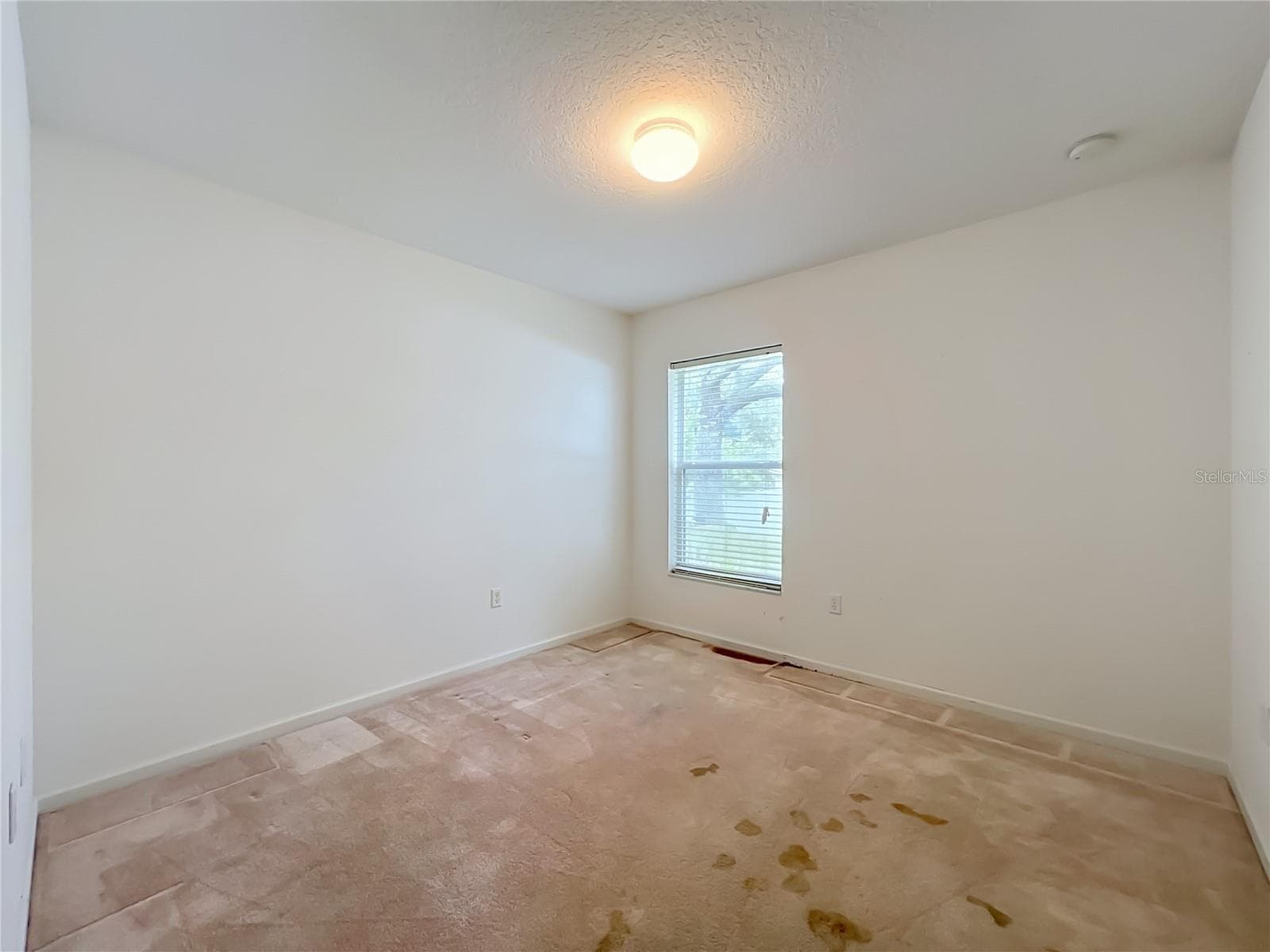 Bedroom 2 - 1199 SNUG HARBOR DR, CASSELBERRY