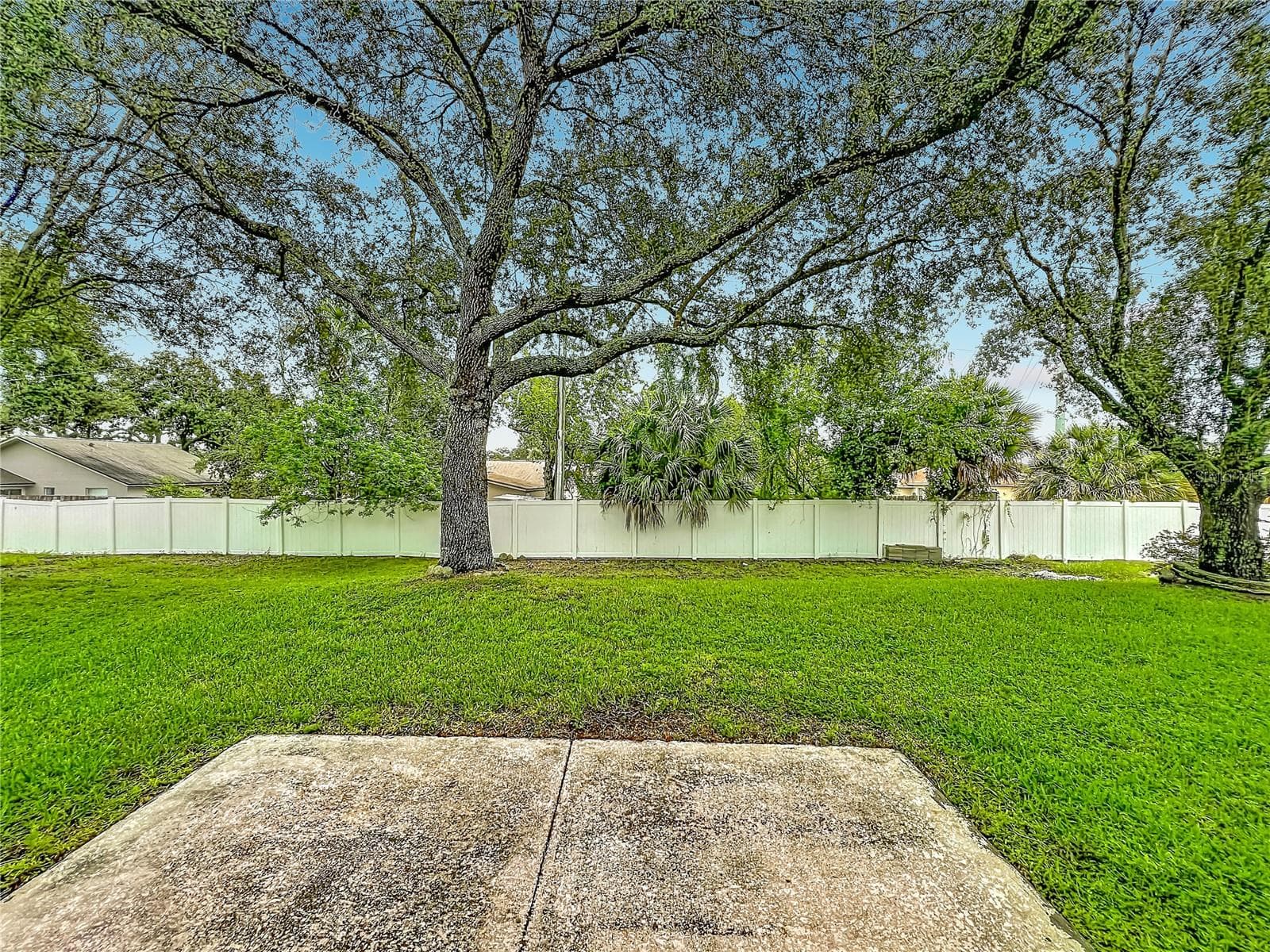 backyard - 1199 SNUG HARBOR DR, CASSELBERRY
