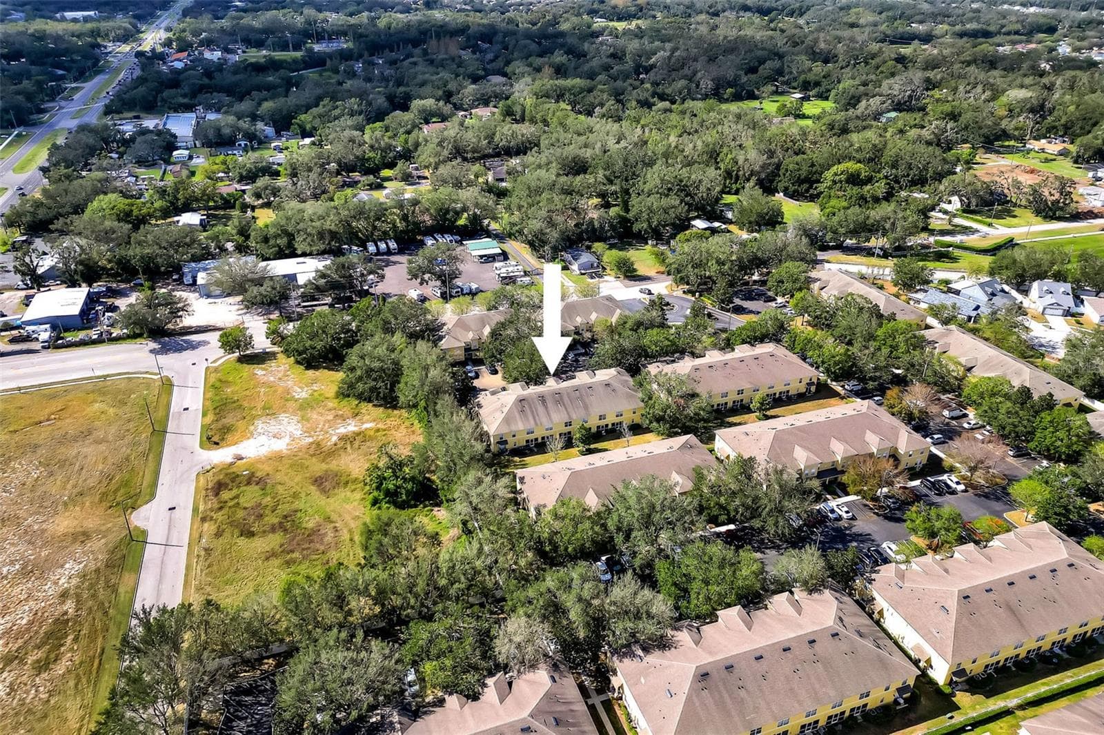 OVERHEAD DRONE OF COMMUNITY - 209 DRAW BRIDGE LN, VALRICO