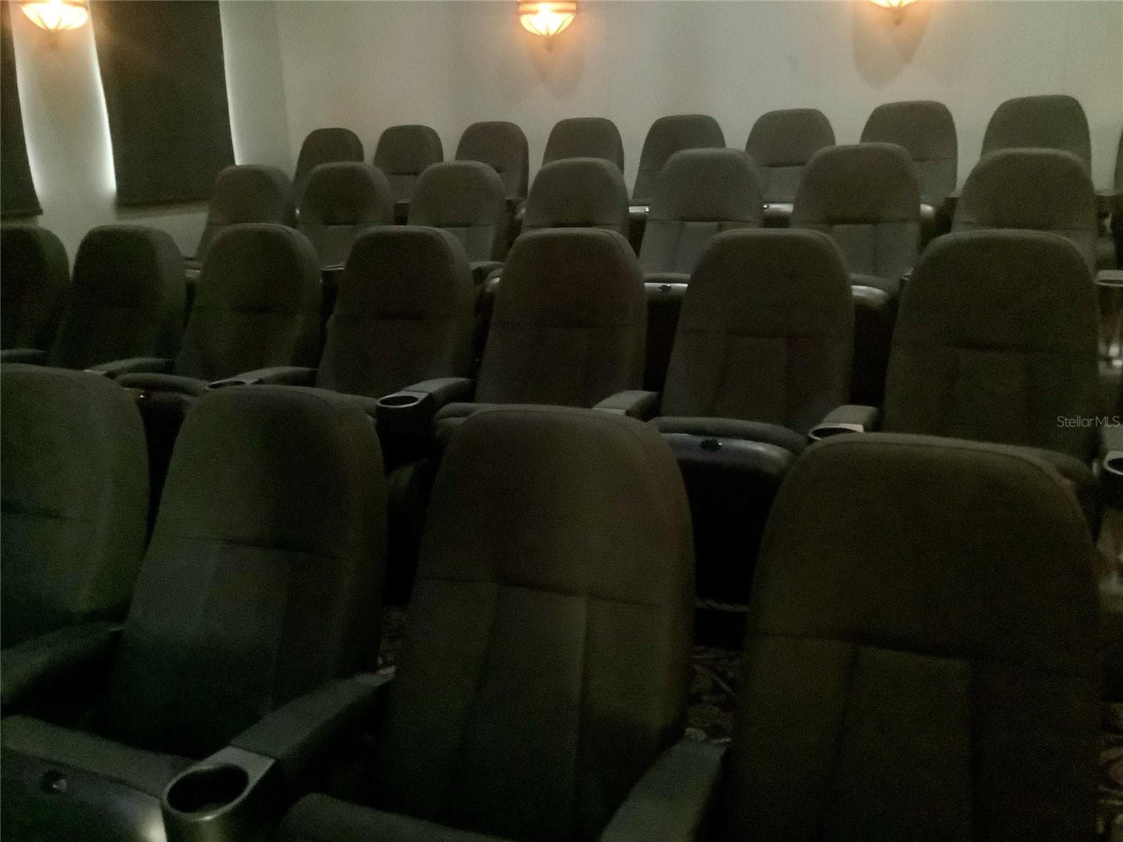 Theatre room at club - 27443 MISTFLOWER DR, WESLEY CHAPEL