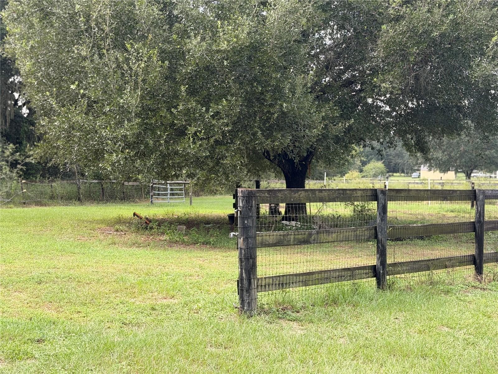 Paddock with tree at side of property. - 1933 SE 155TH ST, SUMMERFIELD