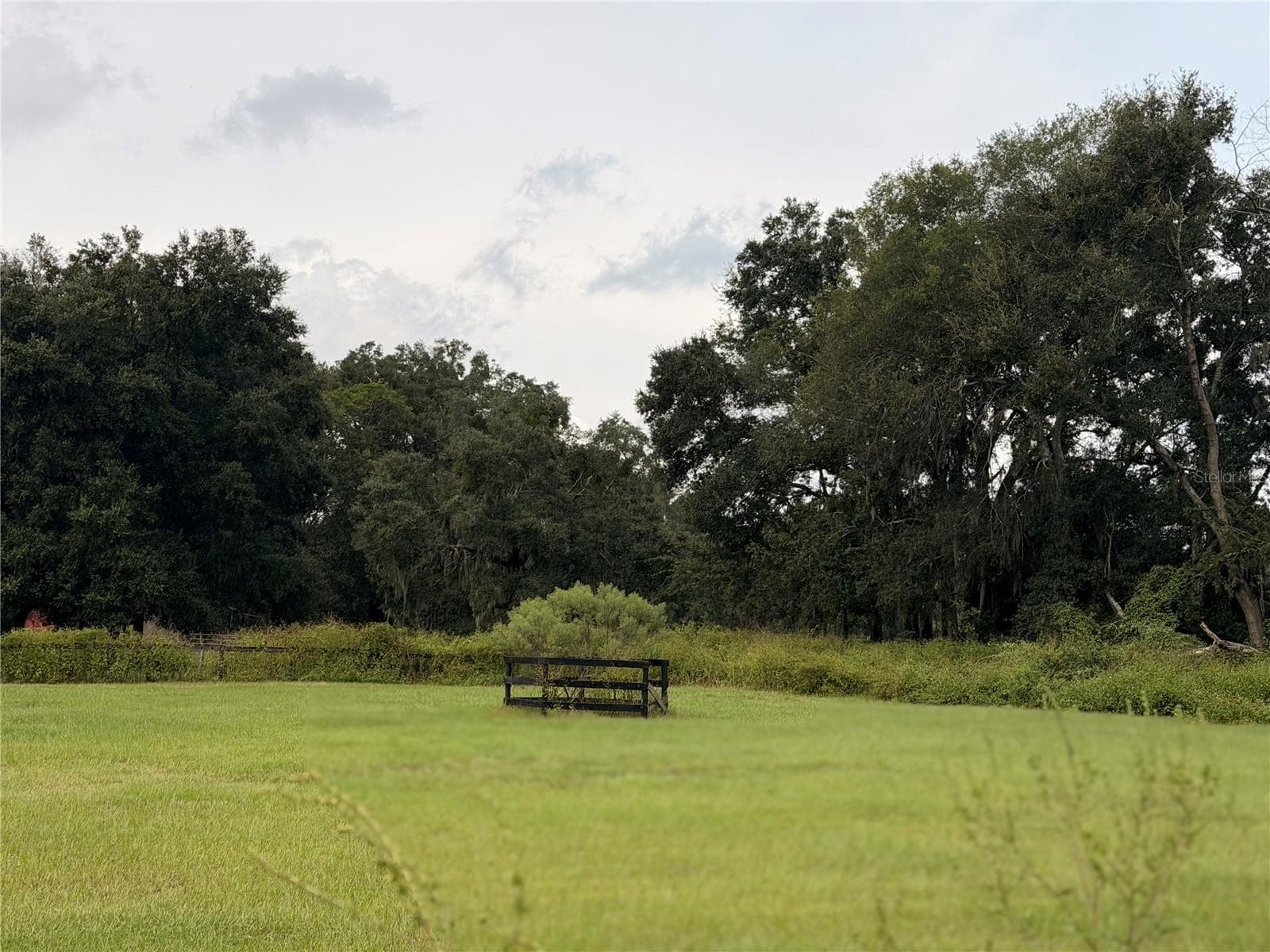 Another view of fenced paddock at rear of property. - 1933 SE 155TH ST, SUMMERFIELD