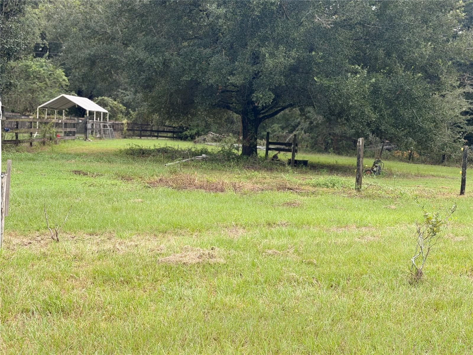 Another view of side paddock with tree. - 1933 SE 155TH ST, SUMMERFIELD