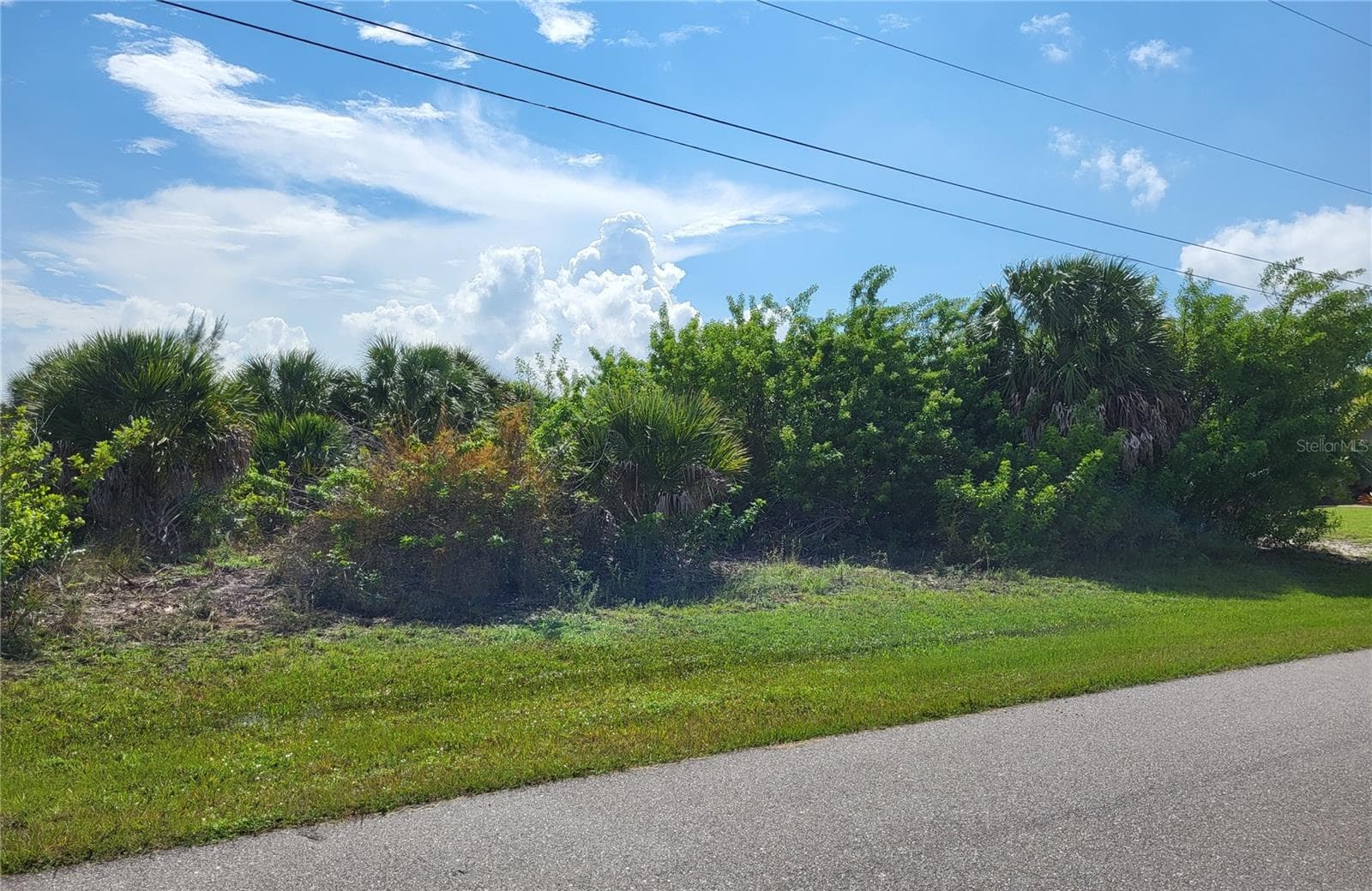 Land at 15762 APPLEWHITE CIR, PORT CHARLOTTE, photo 3 of 12
