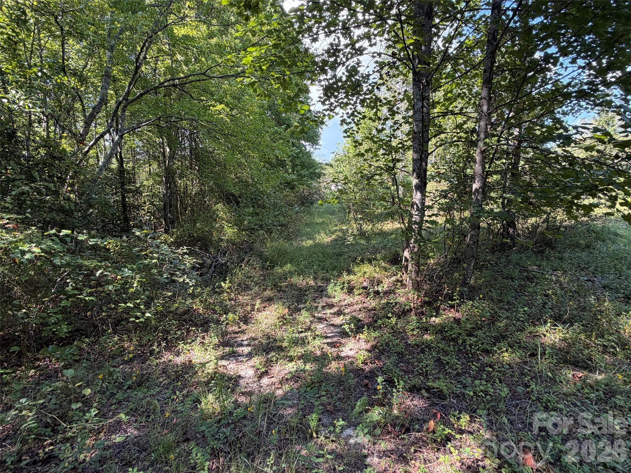 Acreage at TBD Southern Way, Nebo, photo 15 of 47