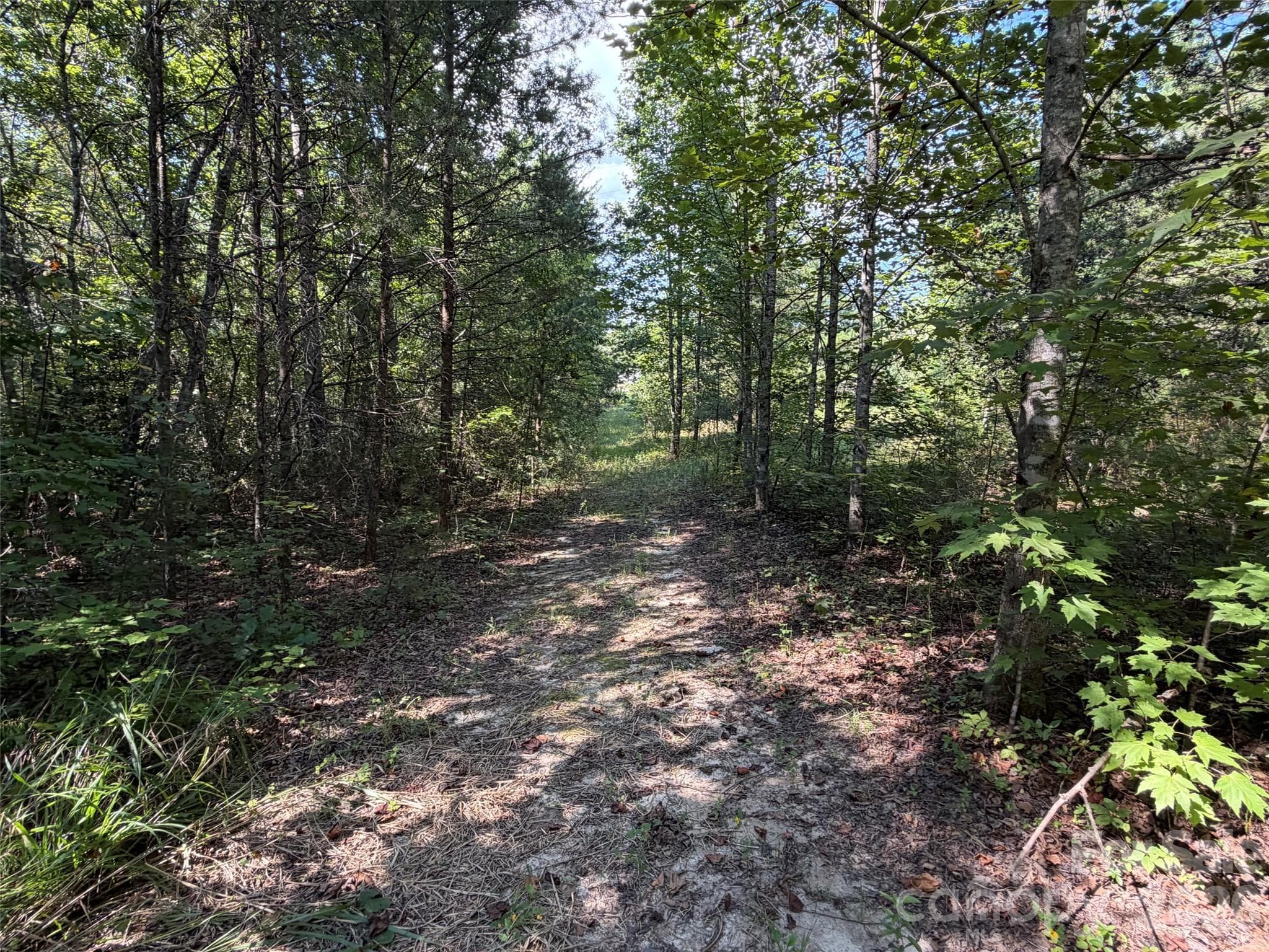 Acreage at TBD Southern Way, Nebo, photo 19 of 47