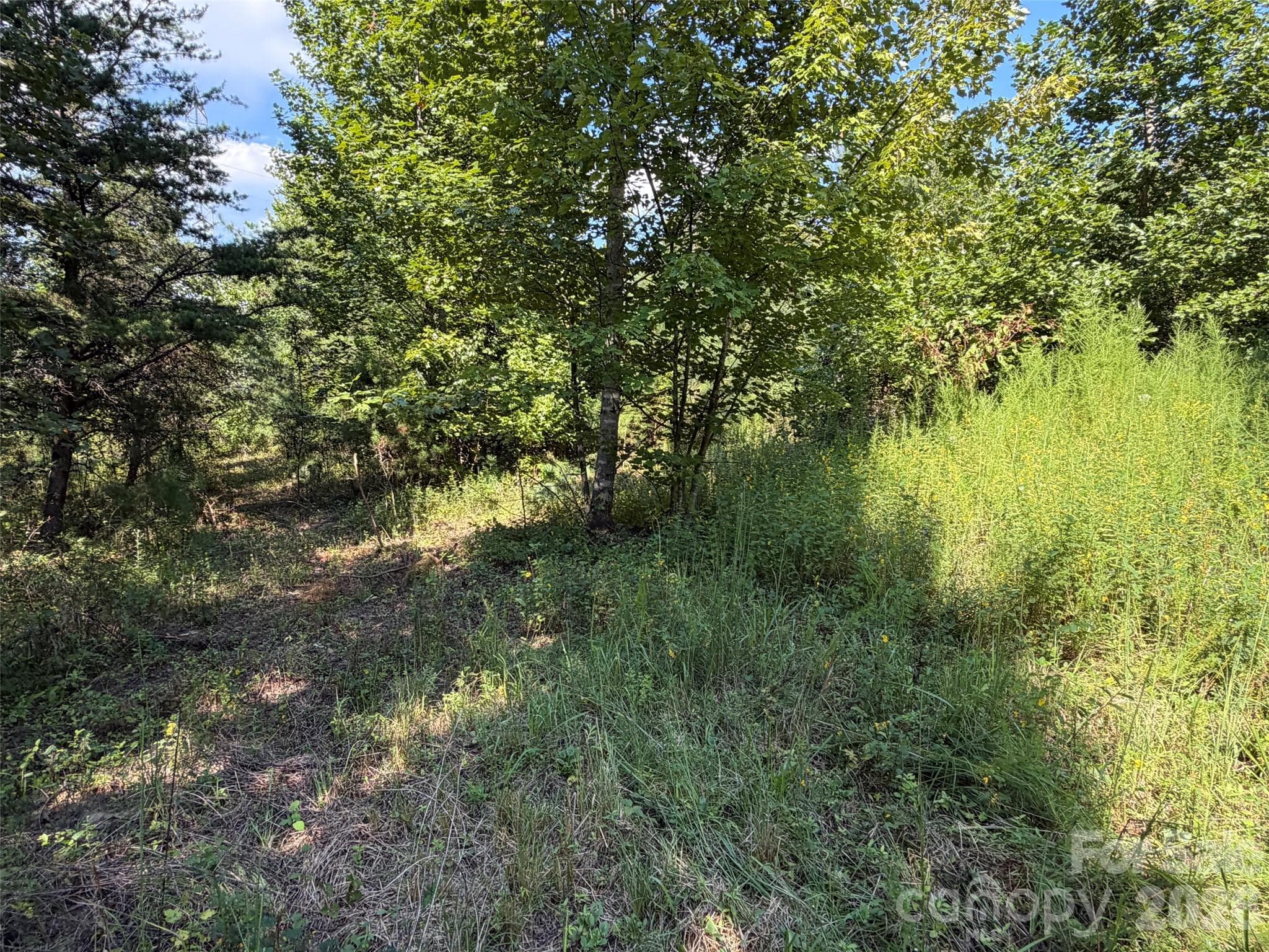 Acreage at TBD Southern Way, Nebo, photo 22 of 47