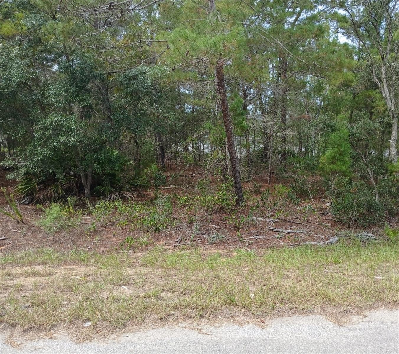 Land at SE FISHER CRSE #Lot 10, OCKLAWAHA, photo 2 of 4