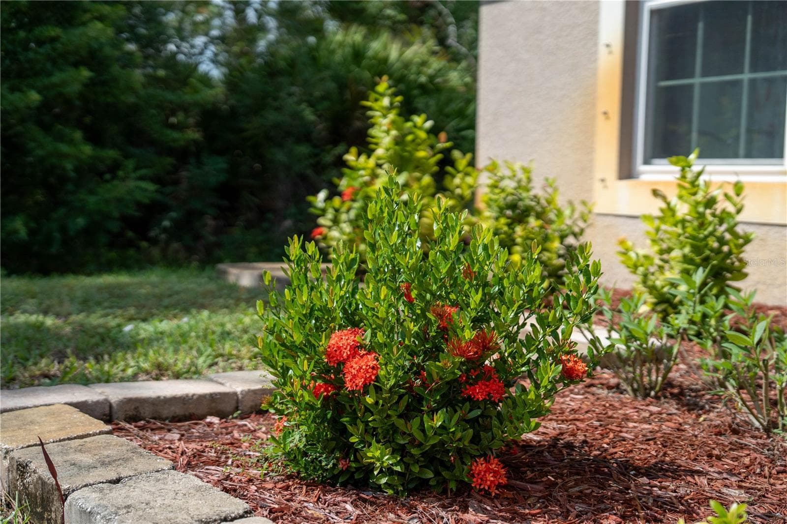 Single Family Residence at 3329 EAGLE PASS ST, NORTH PORT, photo 59 of 69