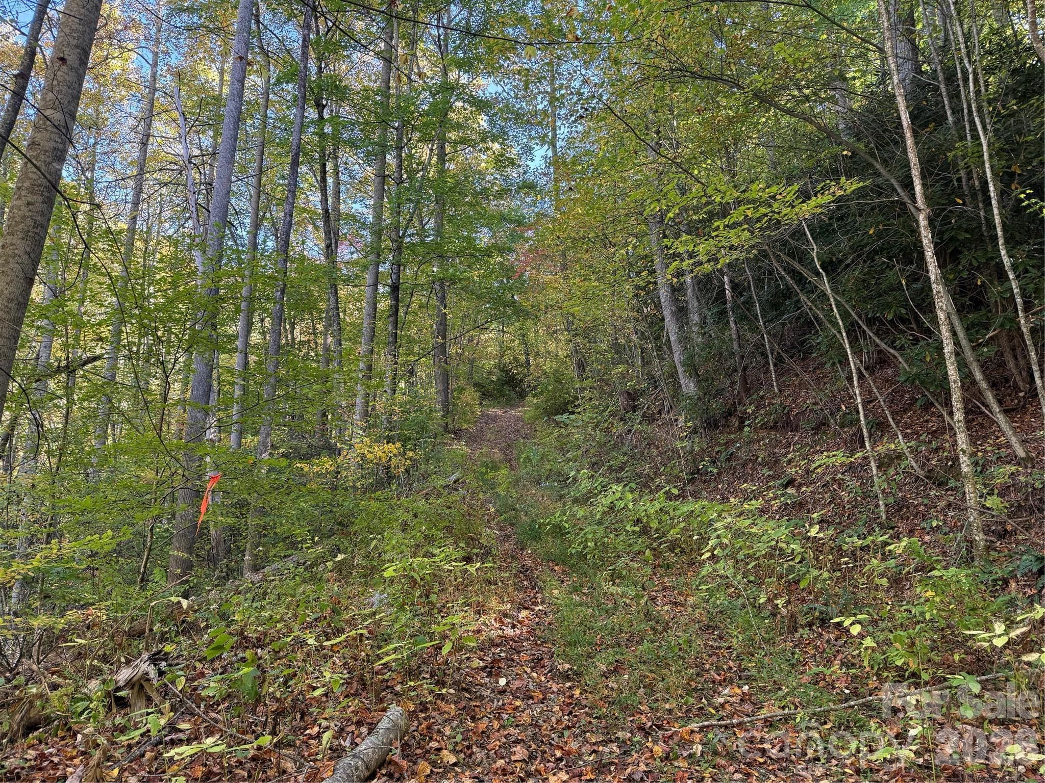 Acreage at 000 Hamburg Road, Mars Hill, photo 18 of 28