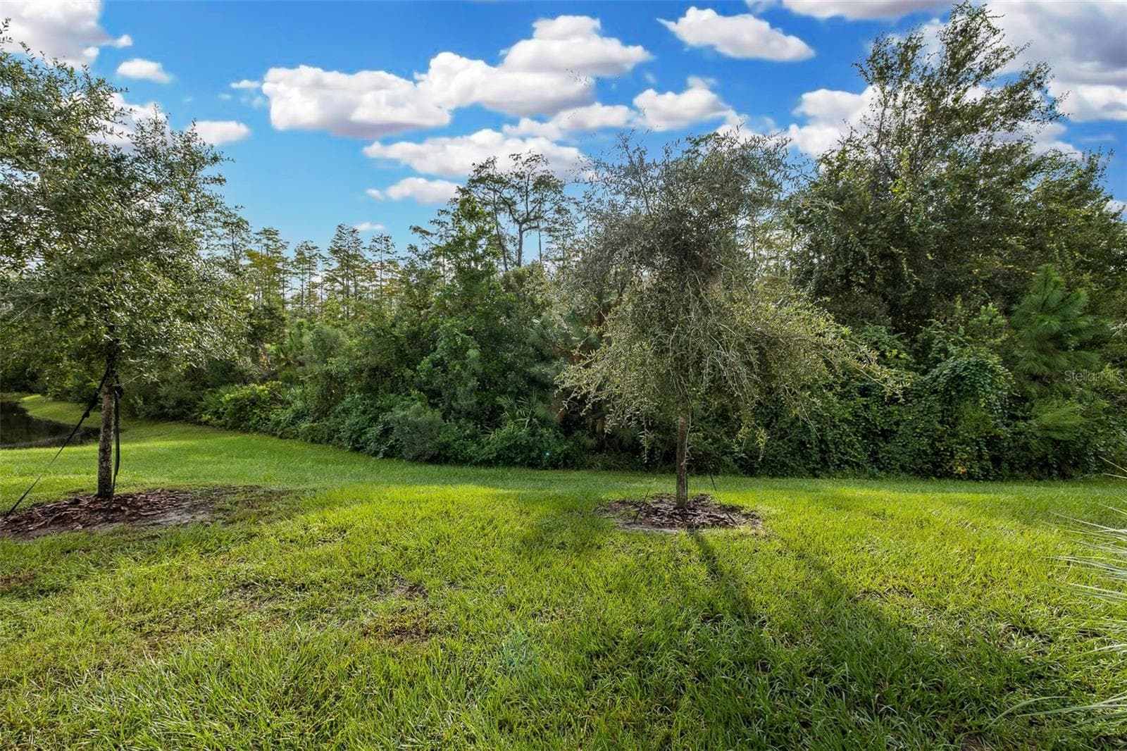 Look at this view! - 11166 CRESCENT DEER DR, LAND O LAKES