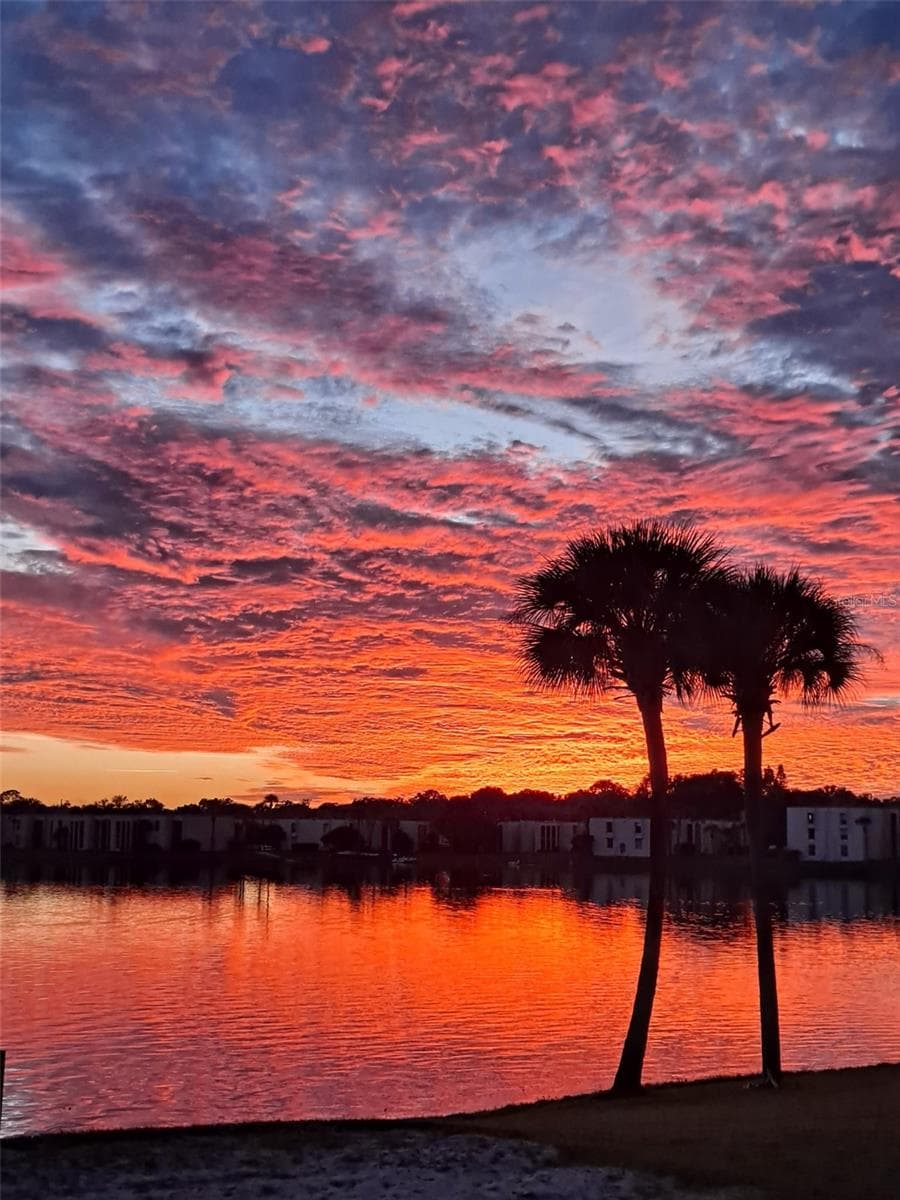 Actual sunset taken by seller - 610 ORANGE DR #188, ALTAMONTE SPRINGS
