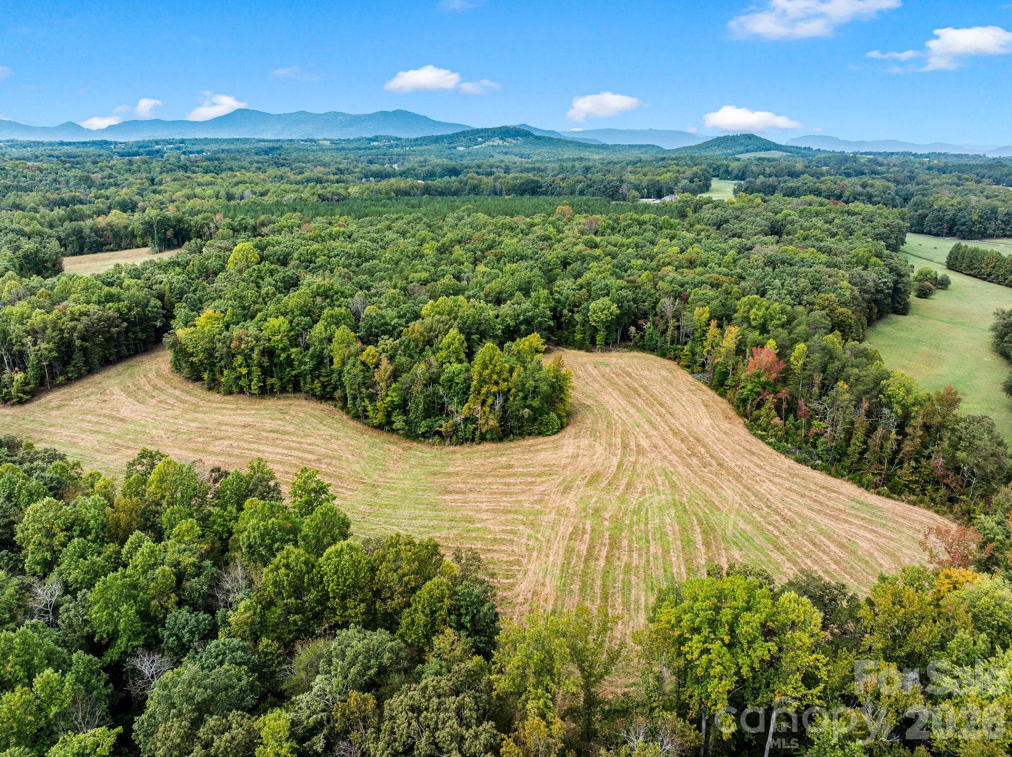 Acreage at TBD Collinsville Road, Columbus, photo 14 of 20