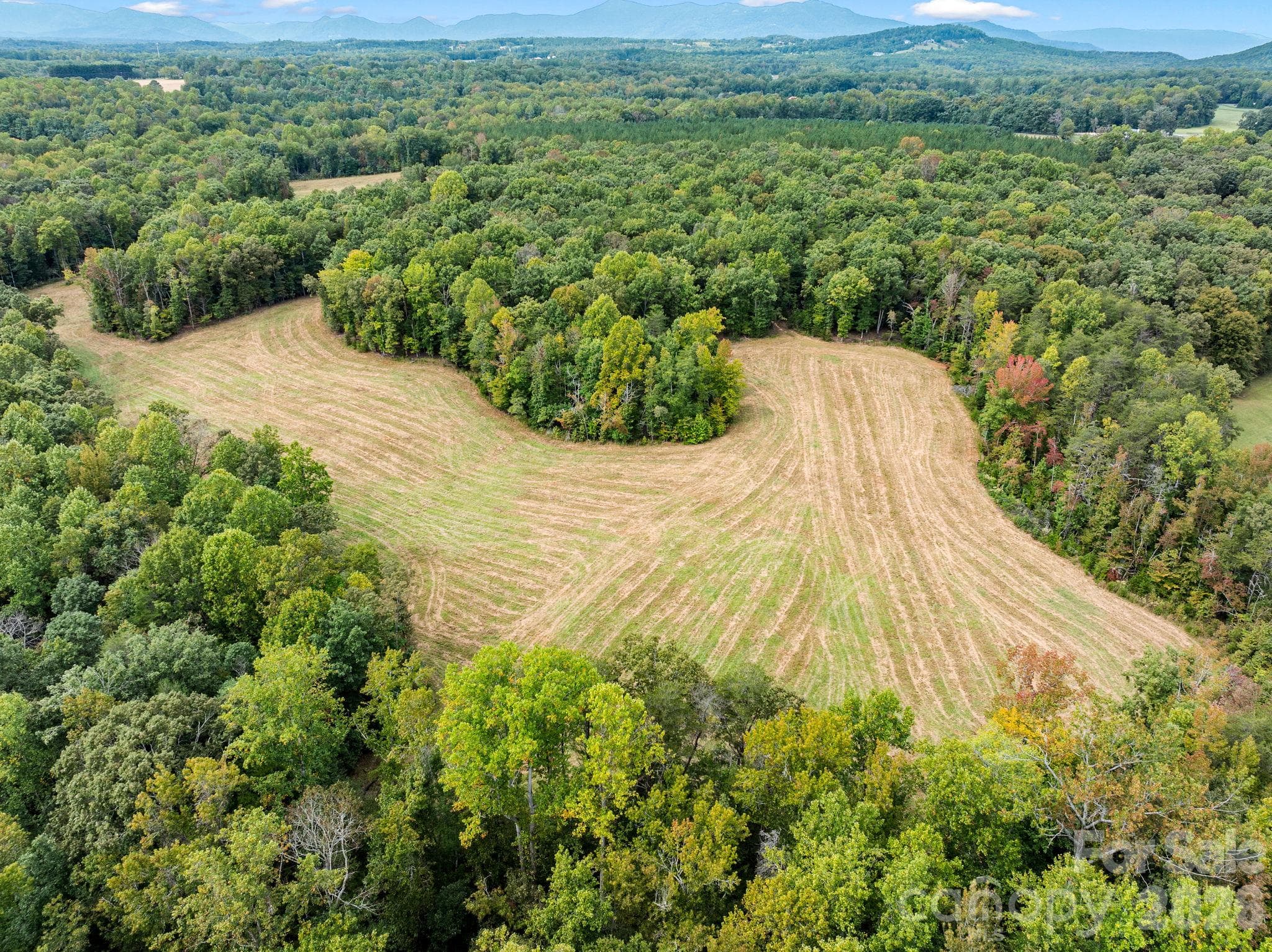 Acreage at TBD Collinsville Road, Columbus, photo 16 of 20
