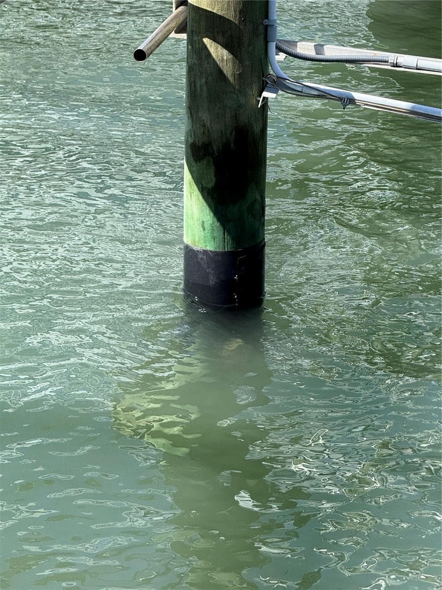Dock-Rackominium at 2700 N PENINSULA AVE #Slip #64, NEW SMYRNA BEACH, photo 22 of 37