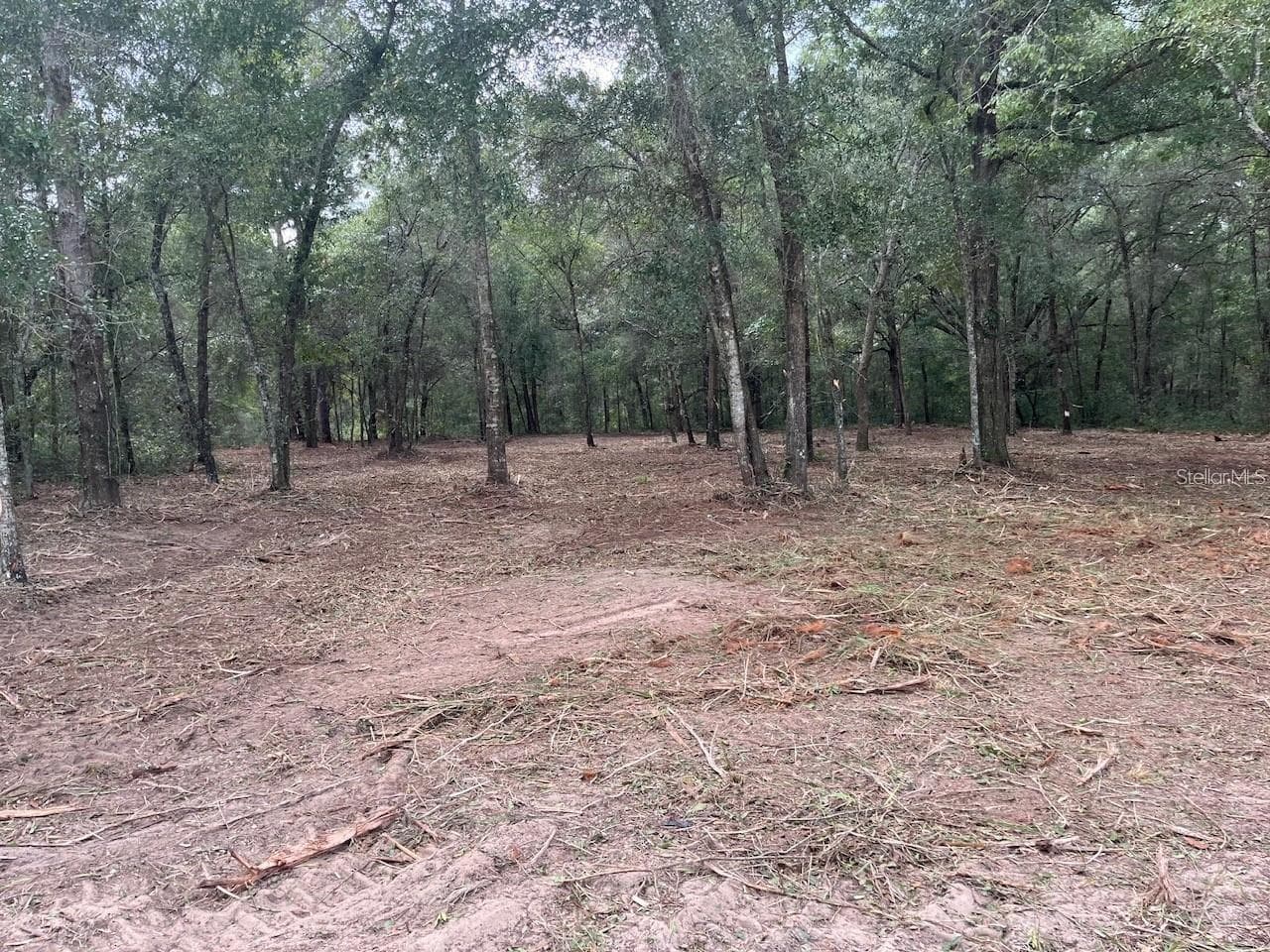 Land at 0 SW 150TH, OCALA, photo 2 of 7