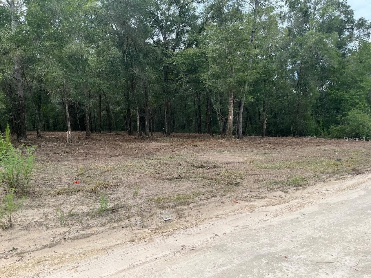 Land at 0 SW 150TH, OCALA, photo 3 of 7