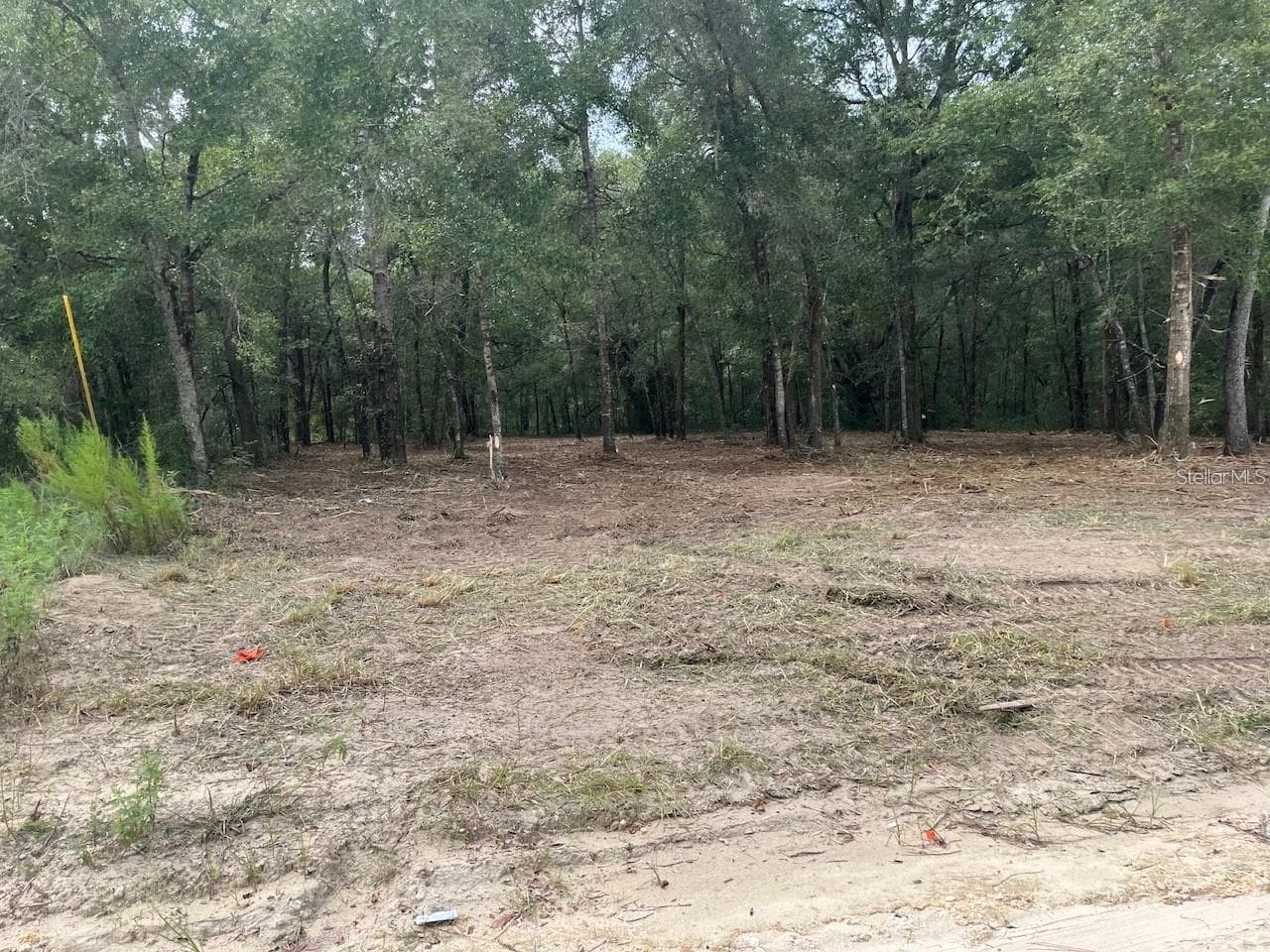 Land at 0 SW 150TH, OCALA, photo 4 of 7
