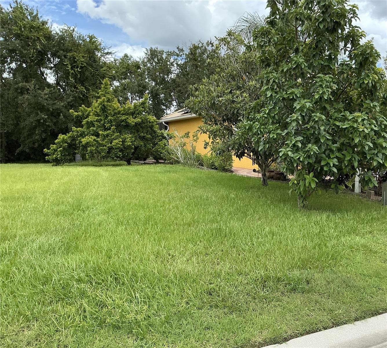 Land at 21049 LOS CABOS CT, LAND O LAKES, photo 2 of 5