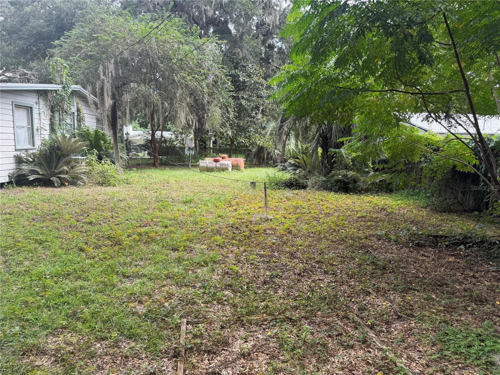 backyard - 1826 SE 47TH TER, GAINESVILLE