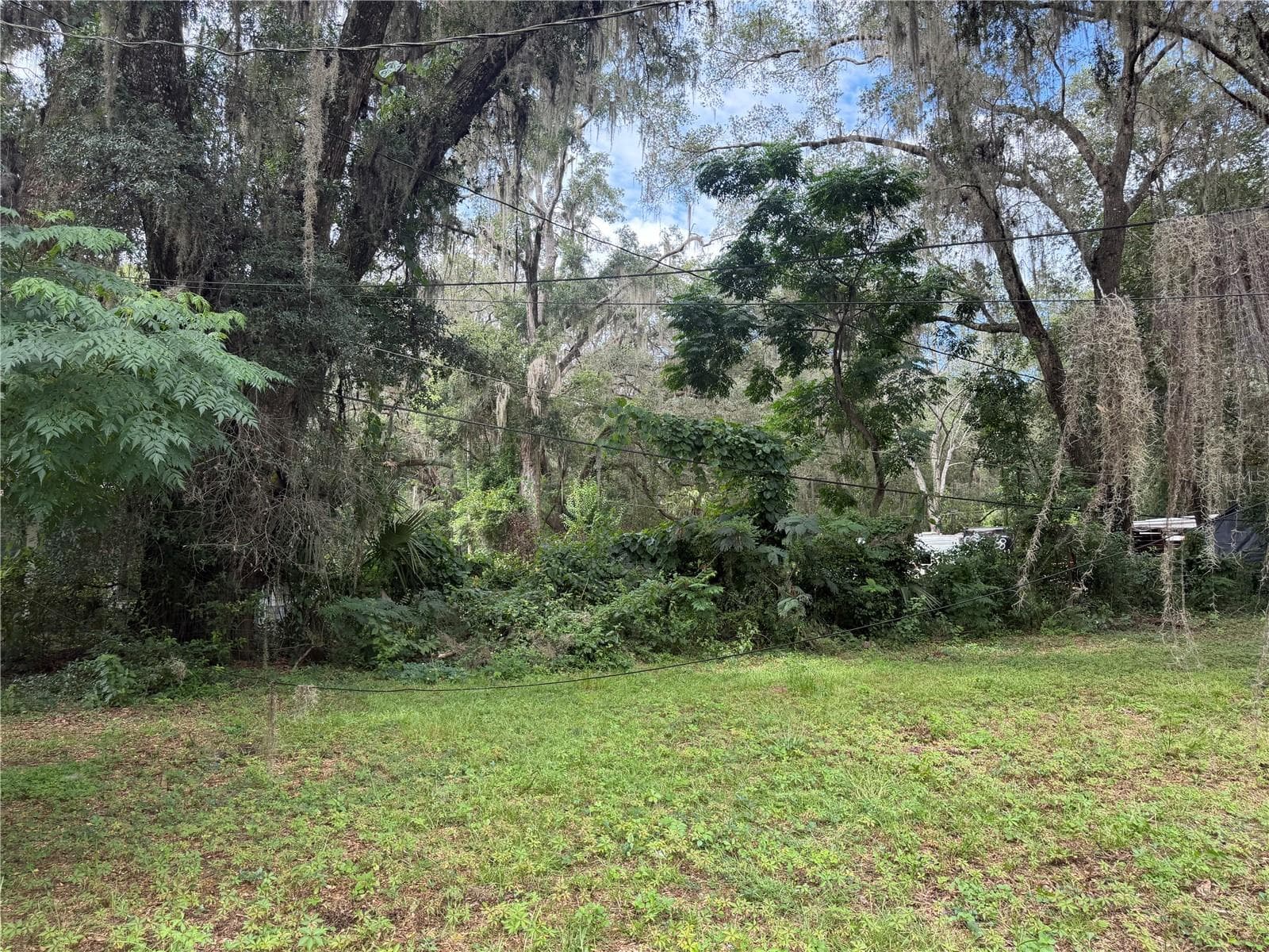 backyard - 1826 SE 47TH TER, GAINESVILLE