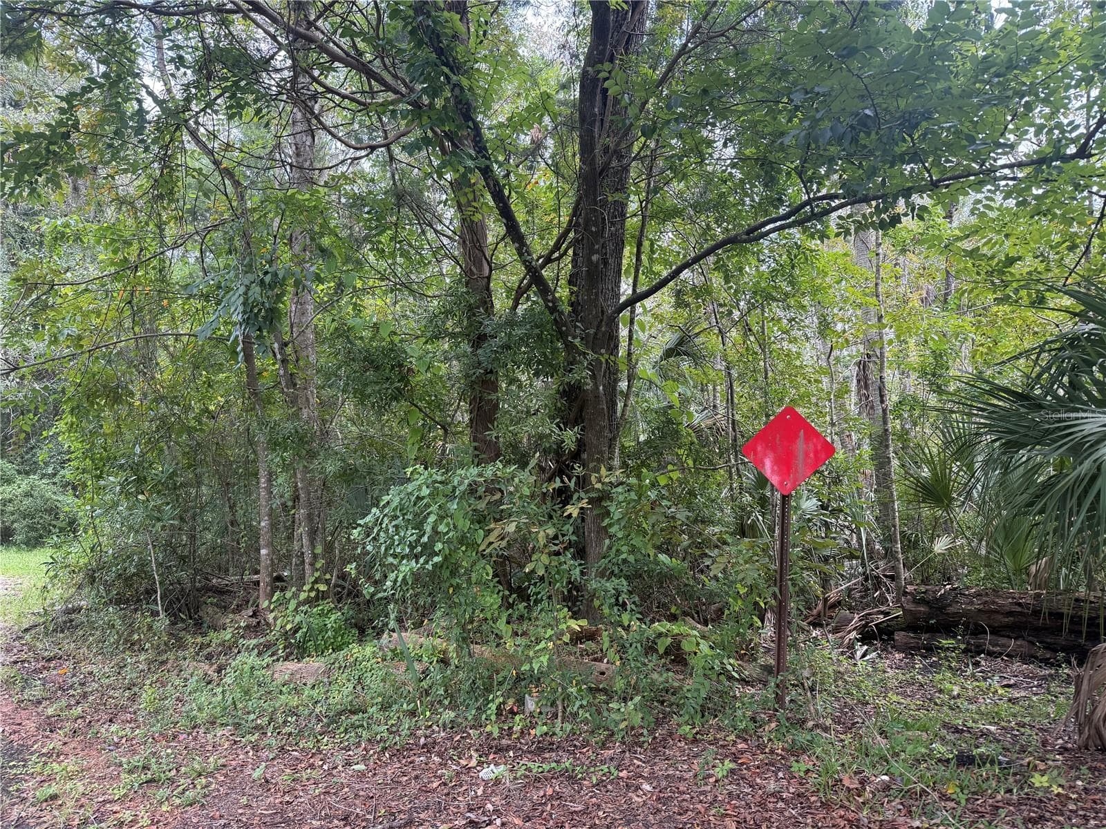 Land at 10103 W MAIN ST, HOMOSASSA, photo 2 of 3
