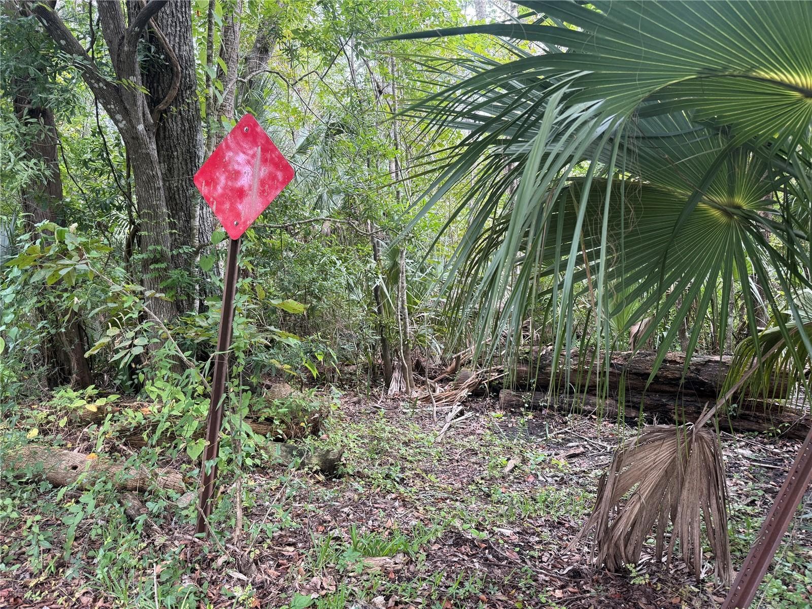 Land at 10103 W MAIN ST, HOMOSASSA, photo 3 of 3