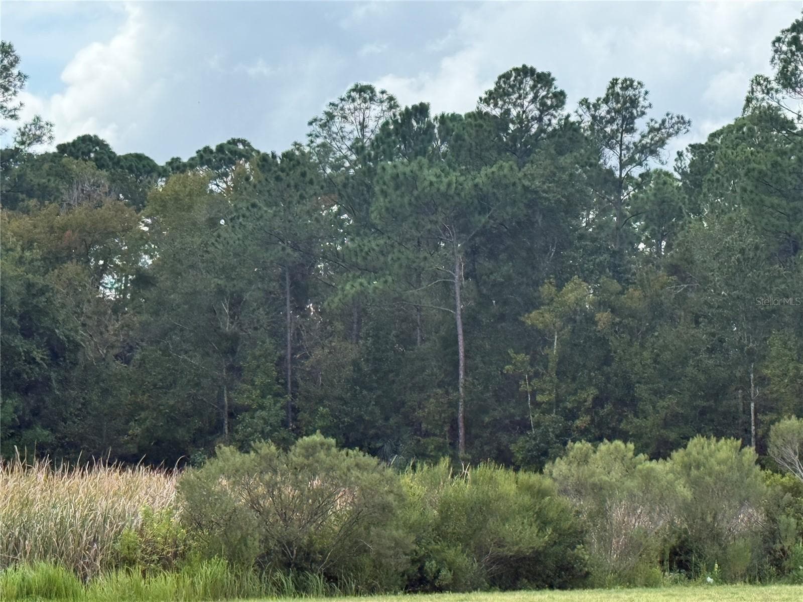 10855 W HOMOSASSA TRL