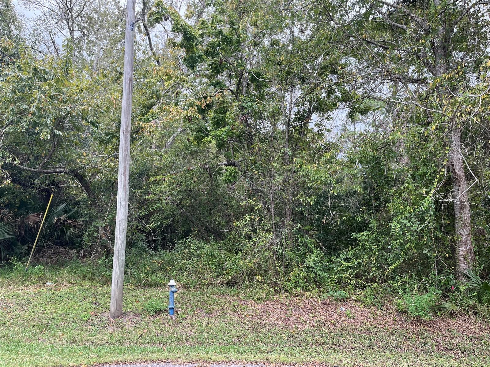 12 PEBBLETON PL