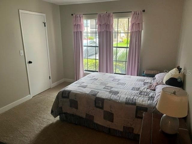 2nd bedroom - 3389 CRYSTAL CT E #D, PALM HARBOR