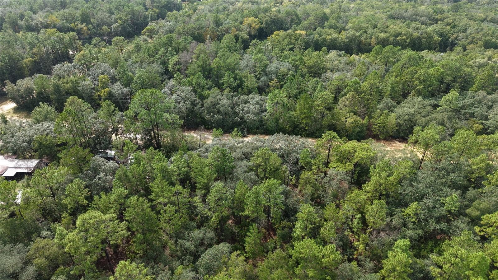 Land at 604 DEL MONACO AVE, INTERLACHEN, photo 10 of 87