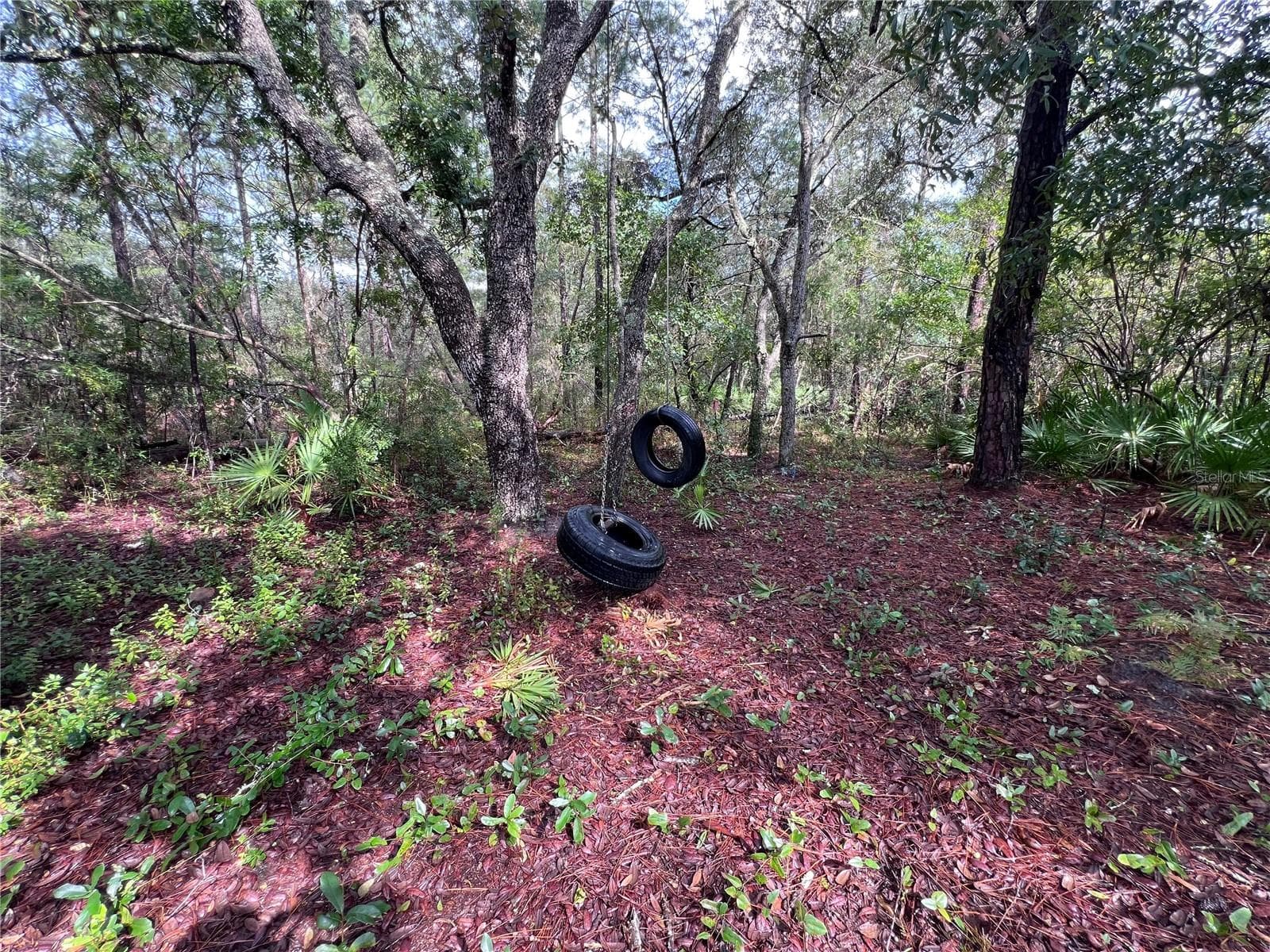Land at 604 DEL MONACO AVE, INTERLACHEN, photo 54 of 87