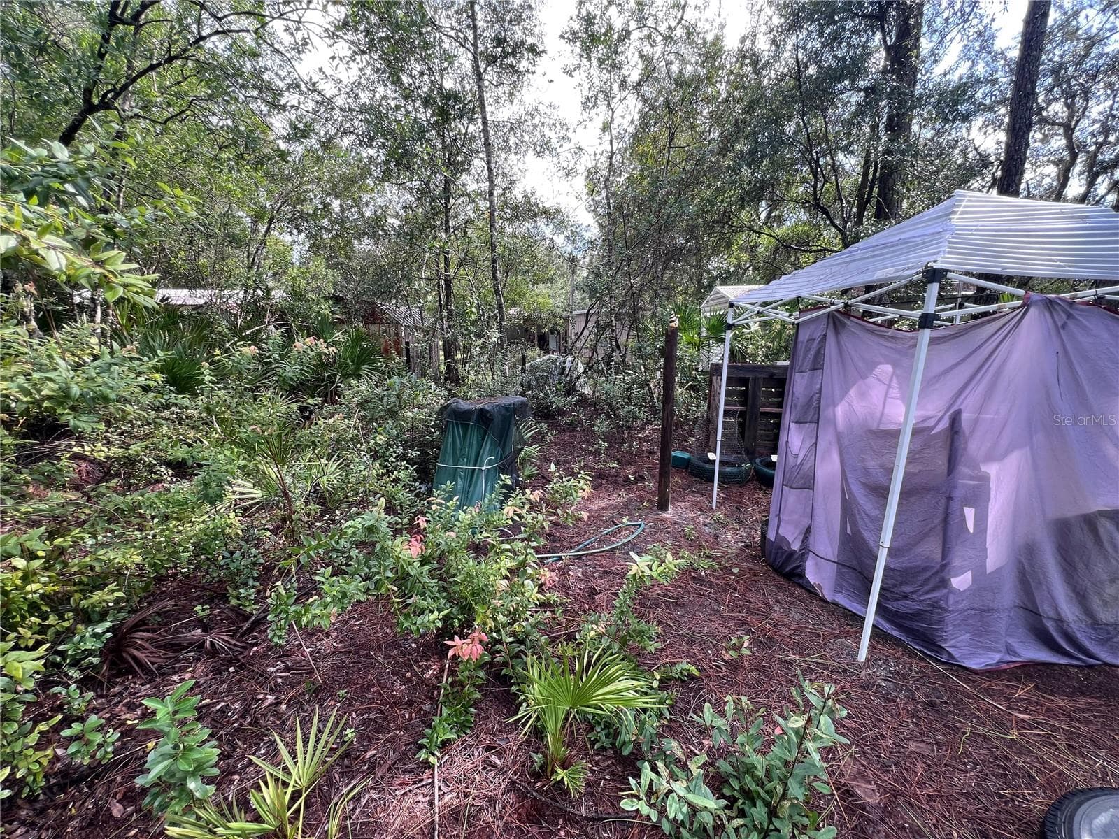 Land at 604 DEL MONACO AVE, INTERLACHEN, photo 55 of 87