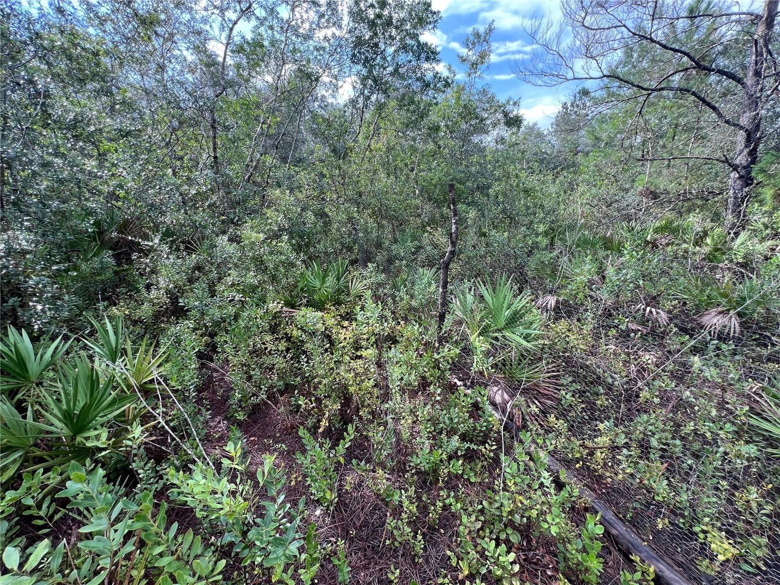 Land at 604 DEL MONACO AVE, INTERLACHEN, photo 59 of 87