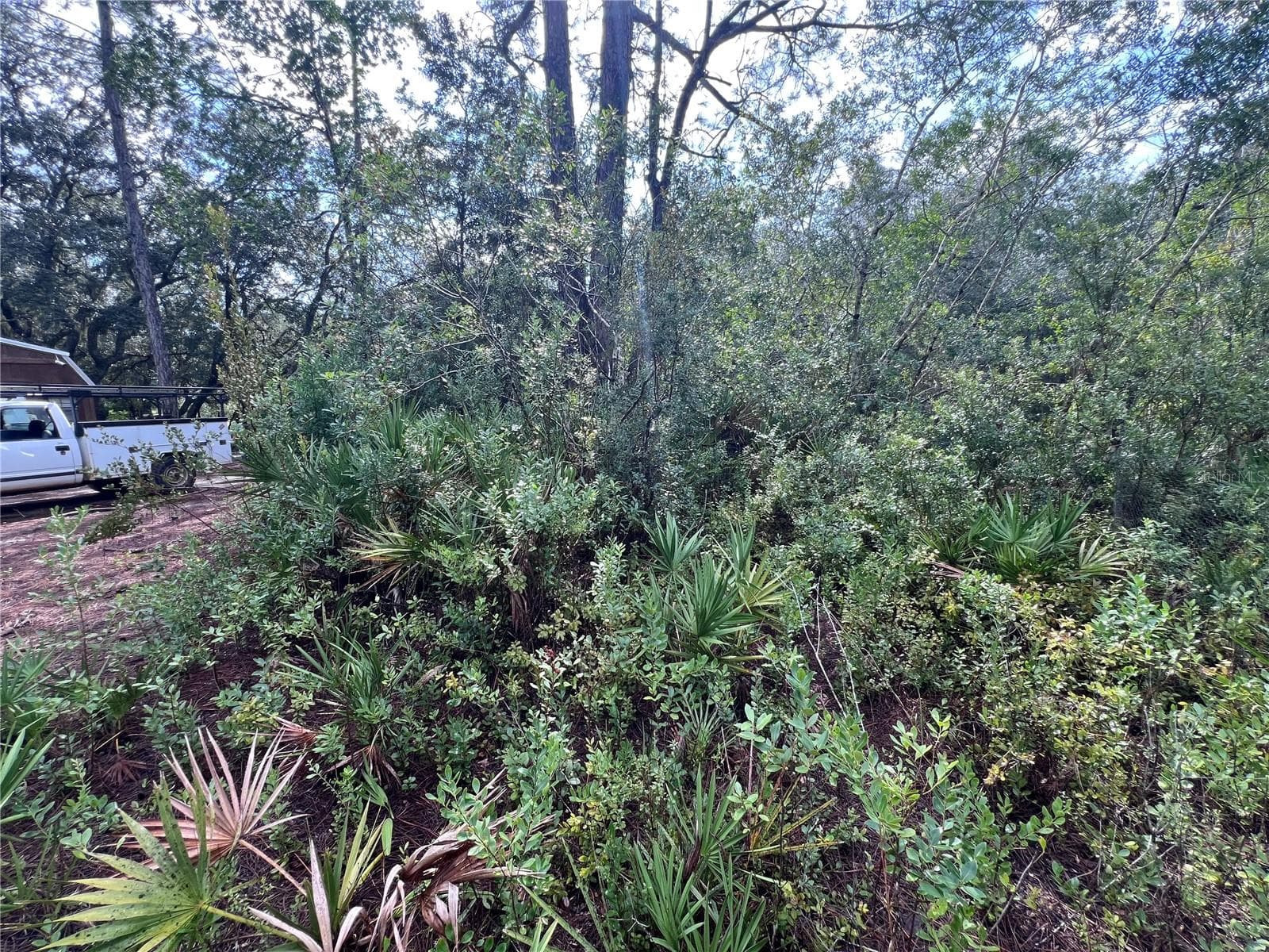 Land at 604 DEL MONACO AVE, INTERLACHEN, photo 60 of 87