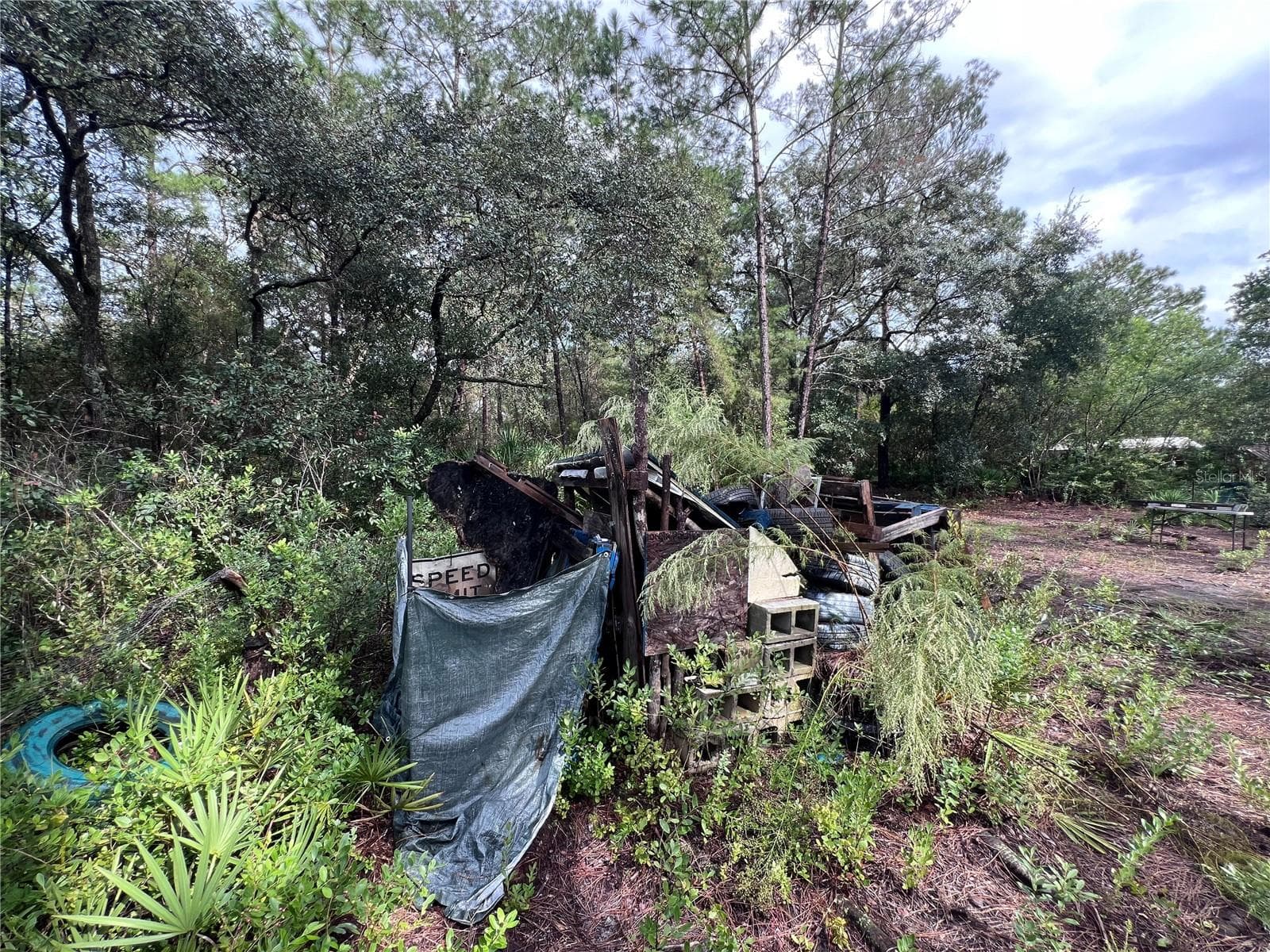 Land at 604 DEL MONACO AVE, INTERLACHEN, photo 61 of 87