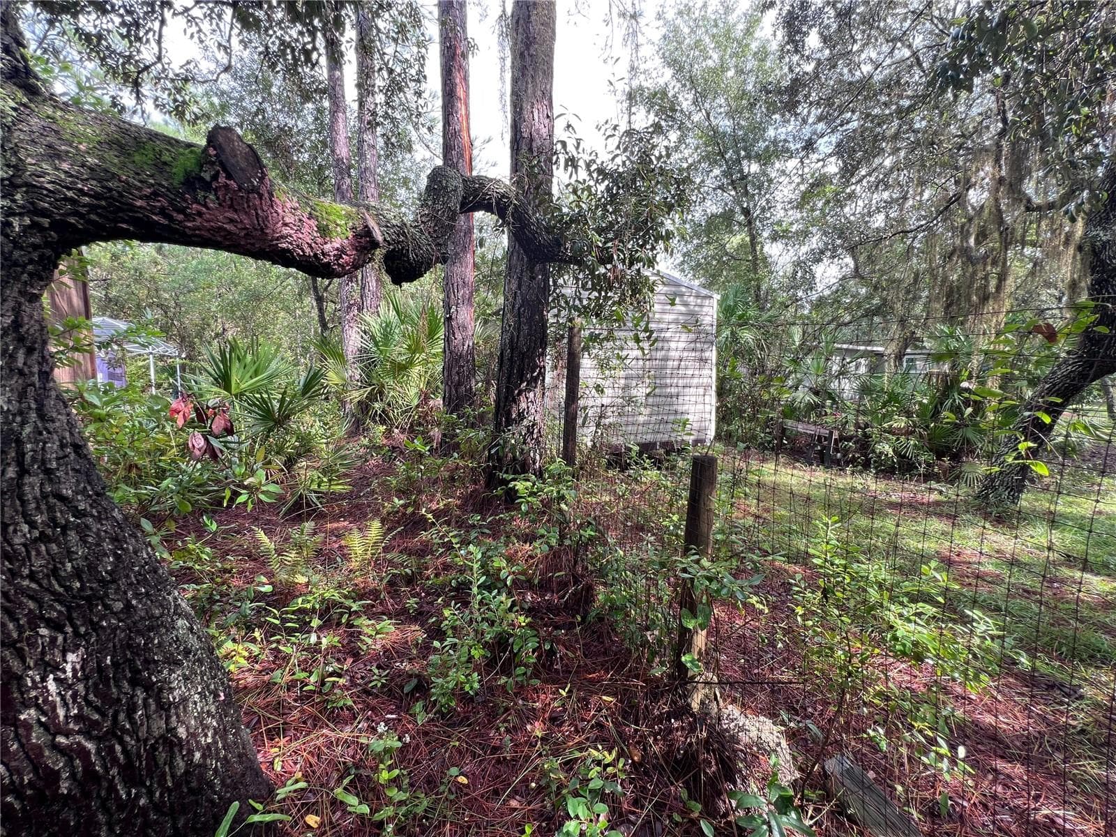 Land at 604 DEL MONACO AVE, INTERLACHEN, photo 63 of 87