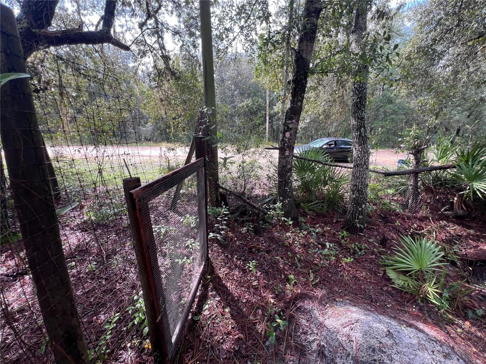 Land at 604 DEL MONACO AVE, INTERLACHEN, photo 64 of 87